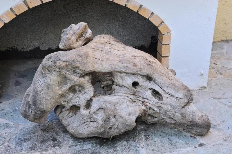 Garden in The Delfini Hotel