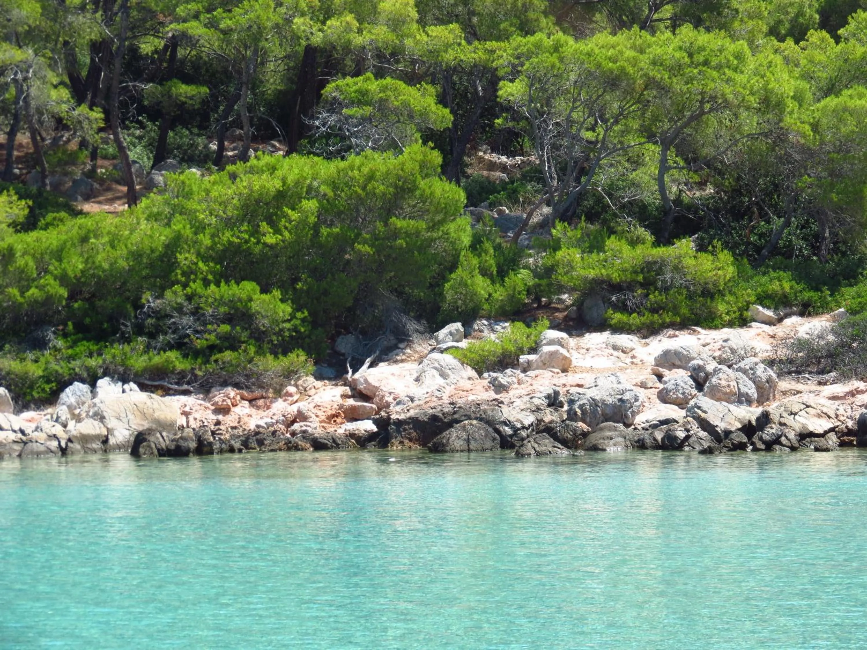Natural landscape in The Delfini Hotel