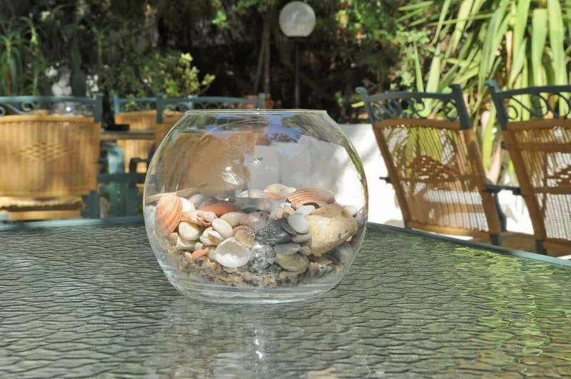 Garden in The Delfini Hotel