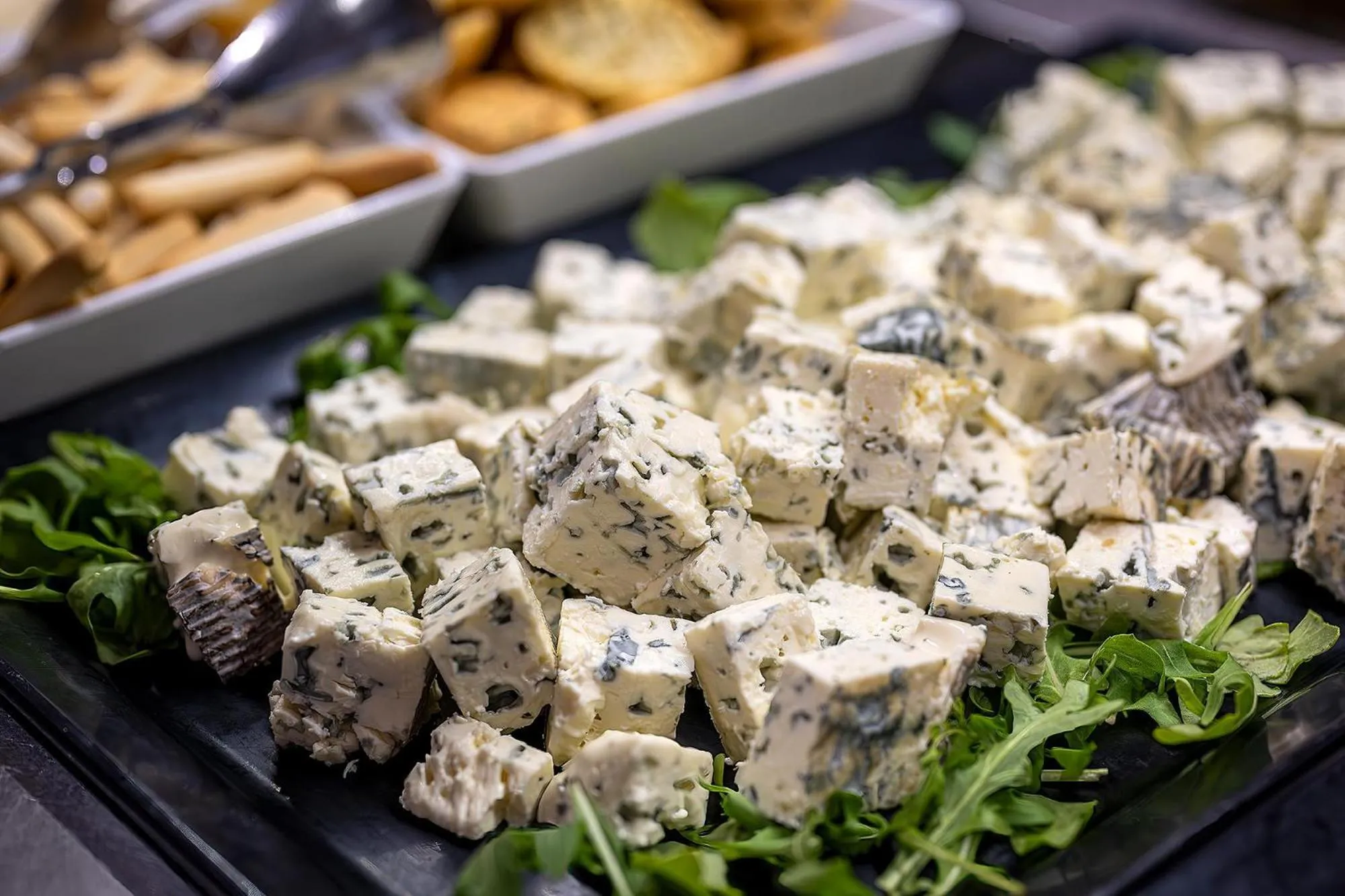 Pets in Poseidon Resort