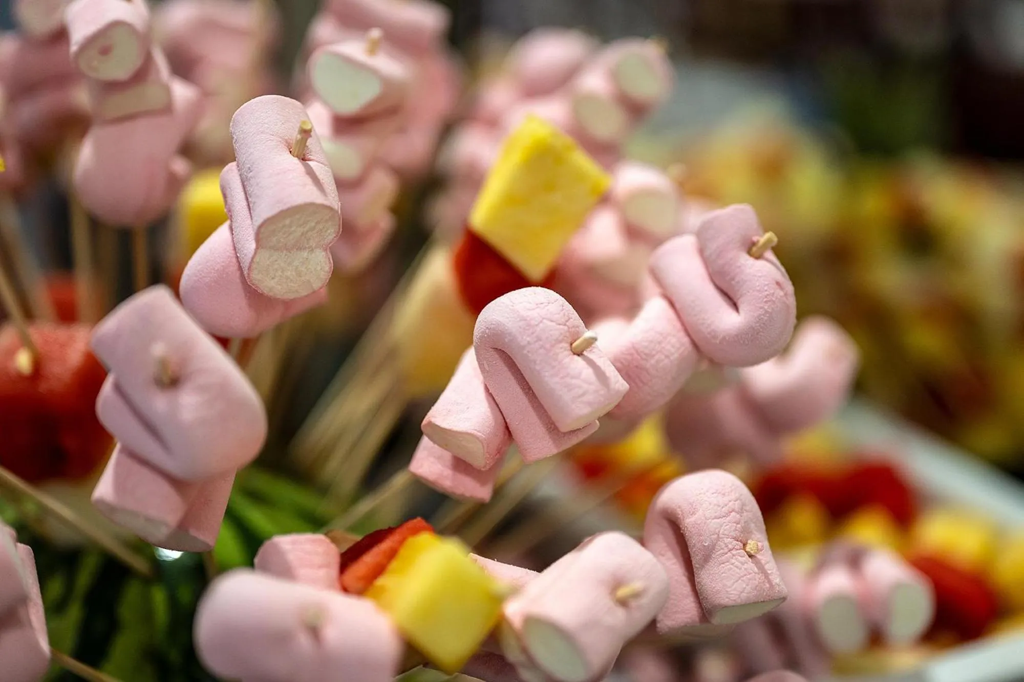 Activities in Poseidon Resort