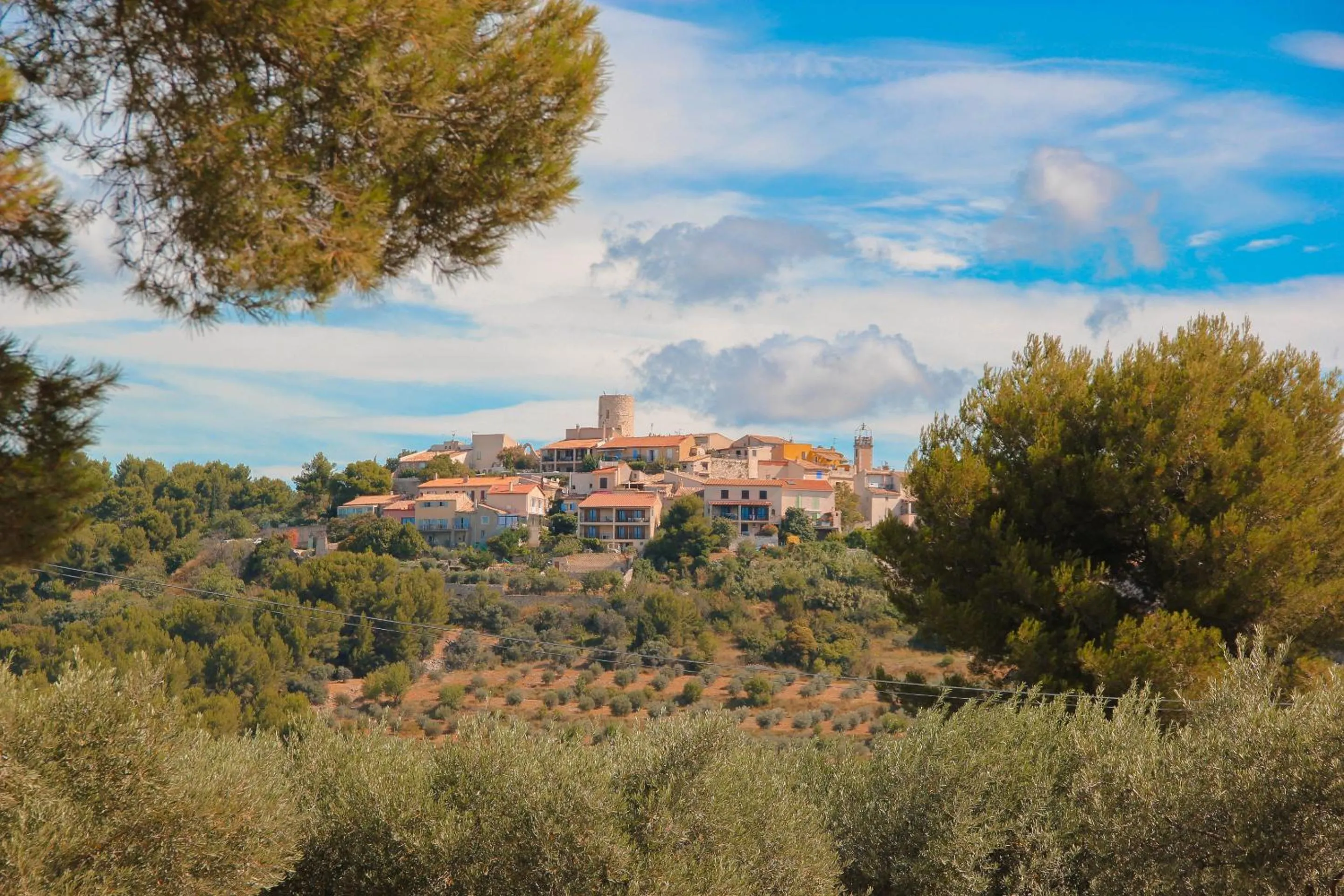 Neighbourhood in SOUS LES PLATANES