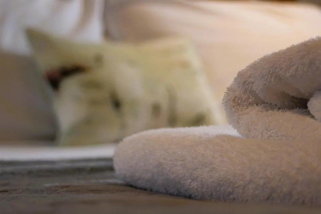 Bed in The Selsey Arms