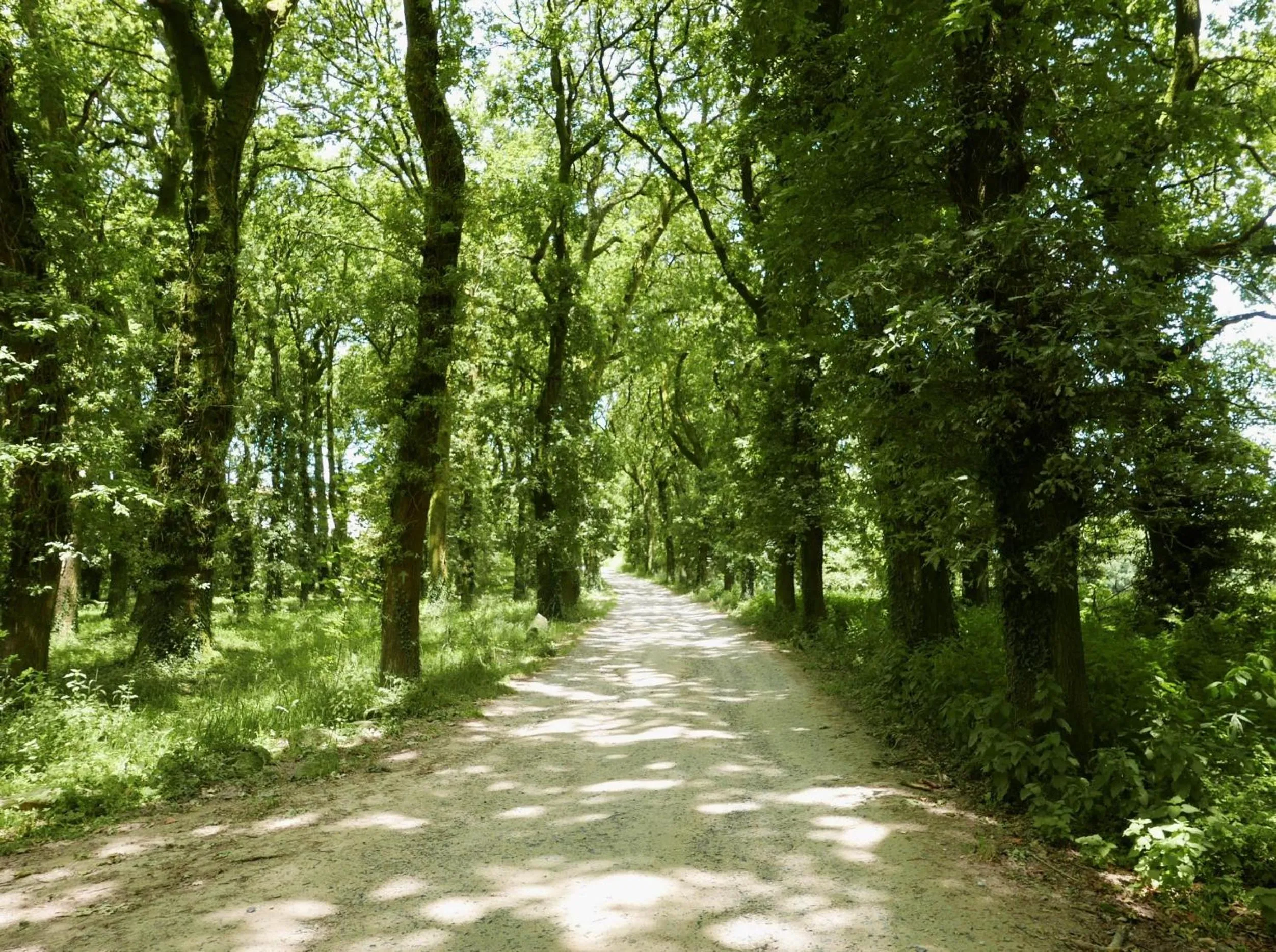 Lobby or reception in Hotel Pazo de Bieite