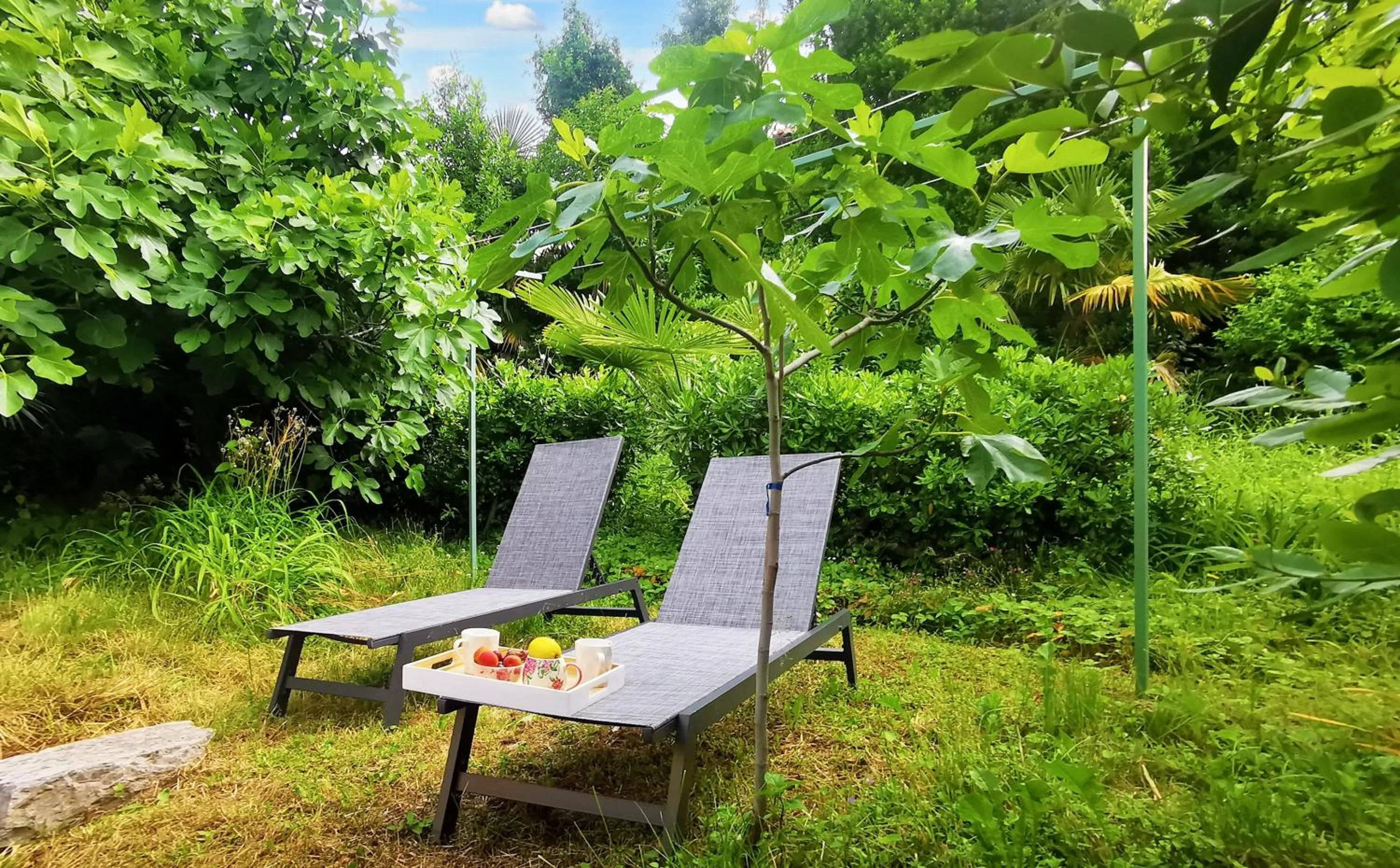 Spring in Elegance Suite - "100m from the Beach with Free Parking and Garden"