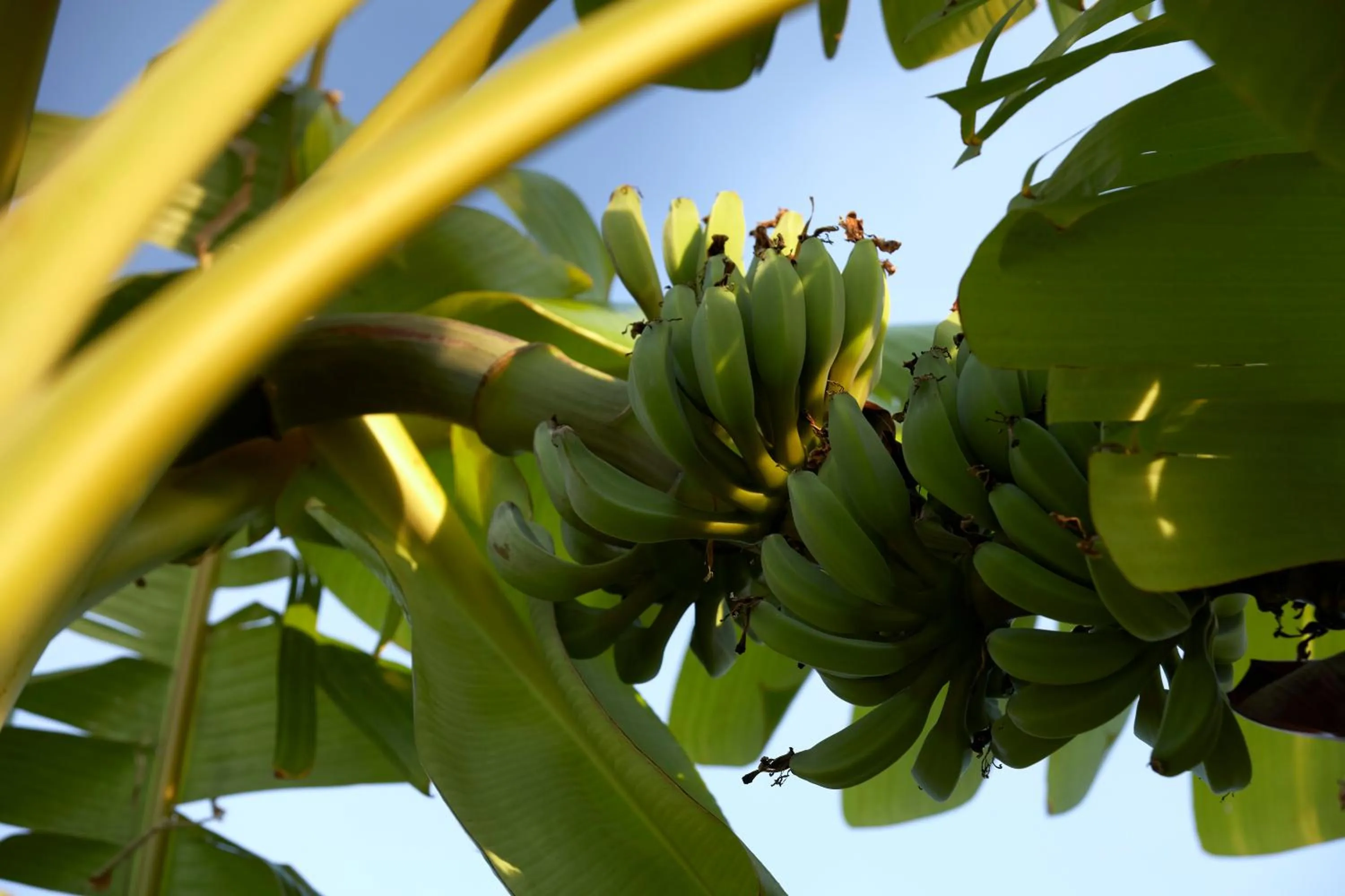 Natural landscape in Poesia Suites