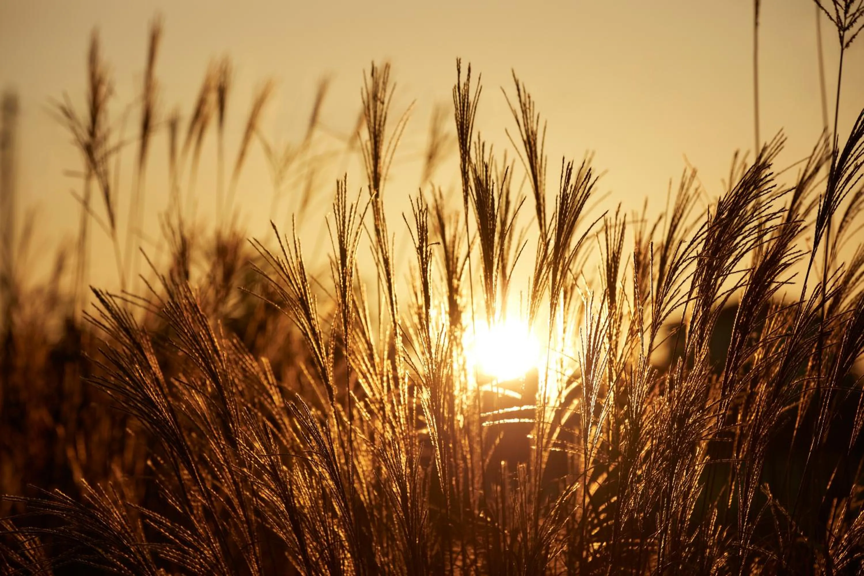 Sunrise in Poesia Suites