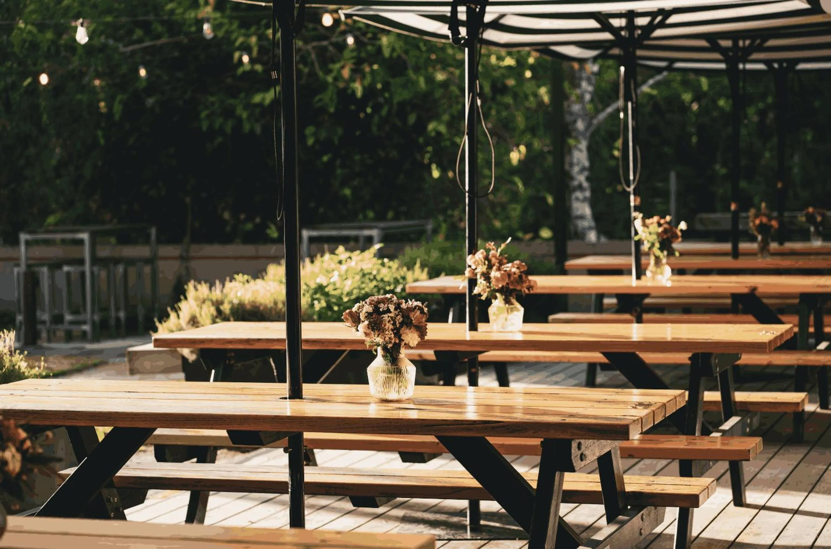 Restaurant/places to eat in Alpine Hotel, Eat Drink Sleep