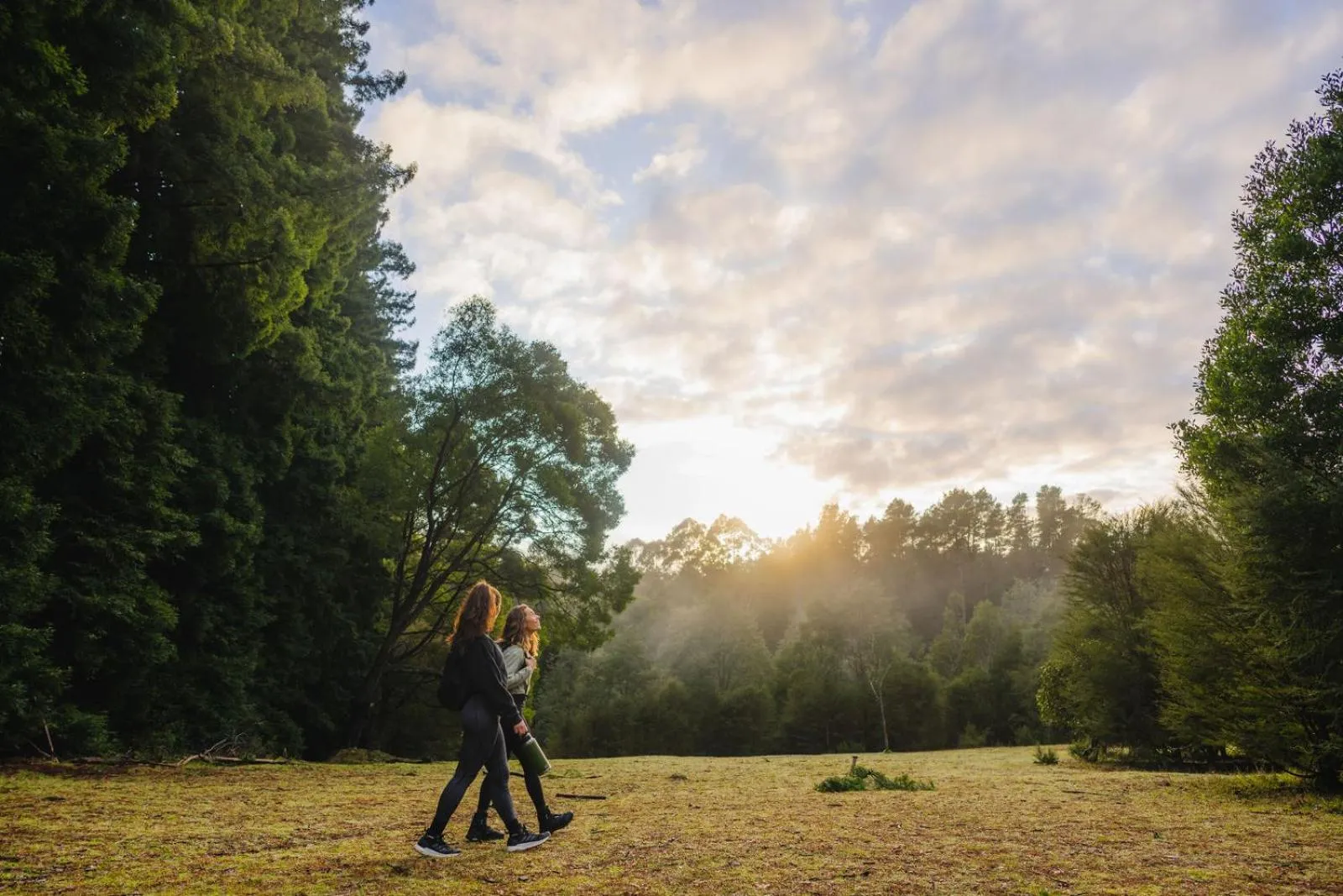 Alpine Hotel, Eat Drink Sleep