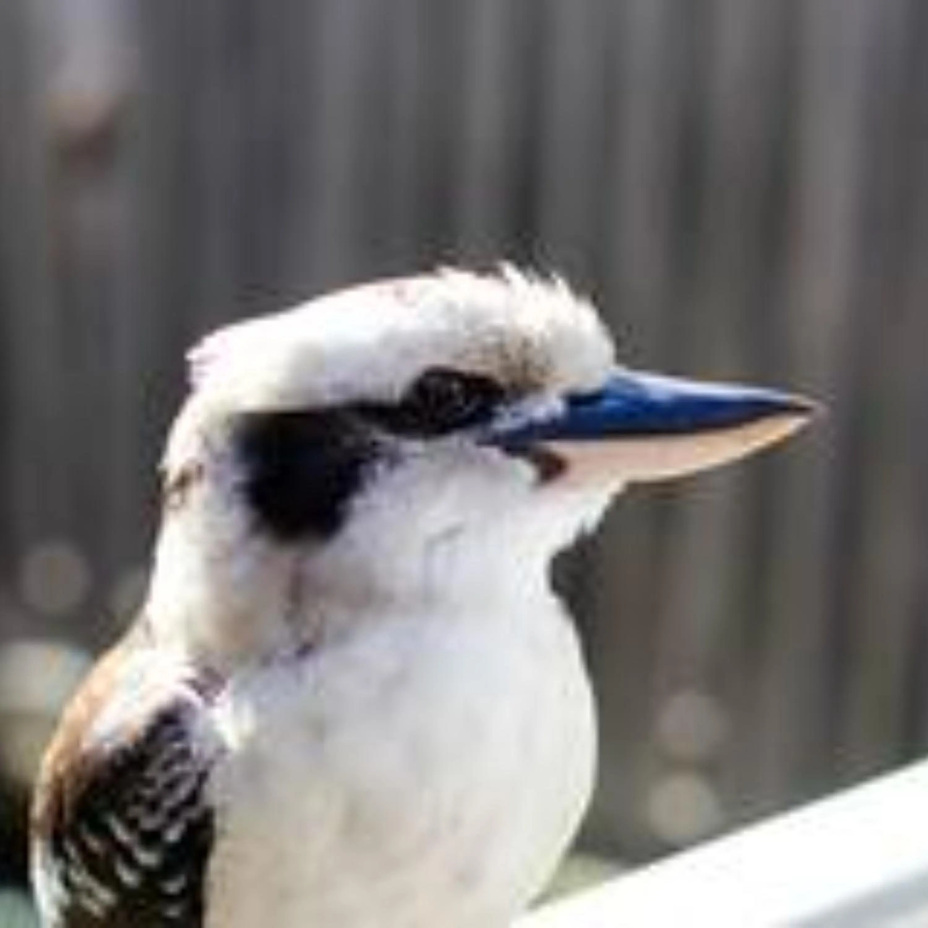 Alpine Hotel, Eat Drink Sleep