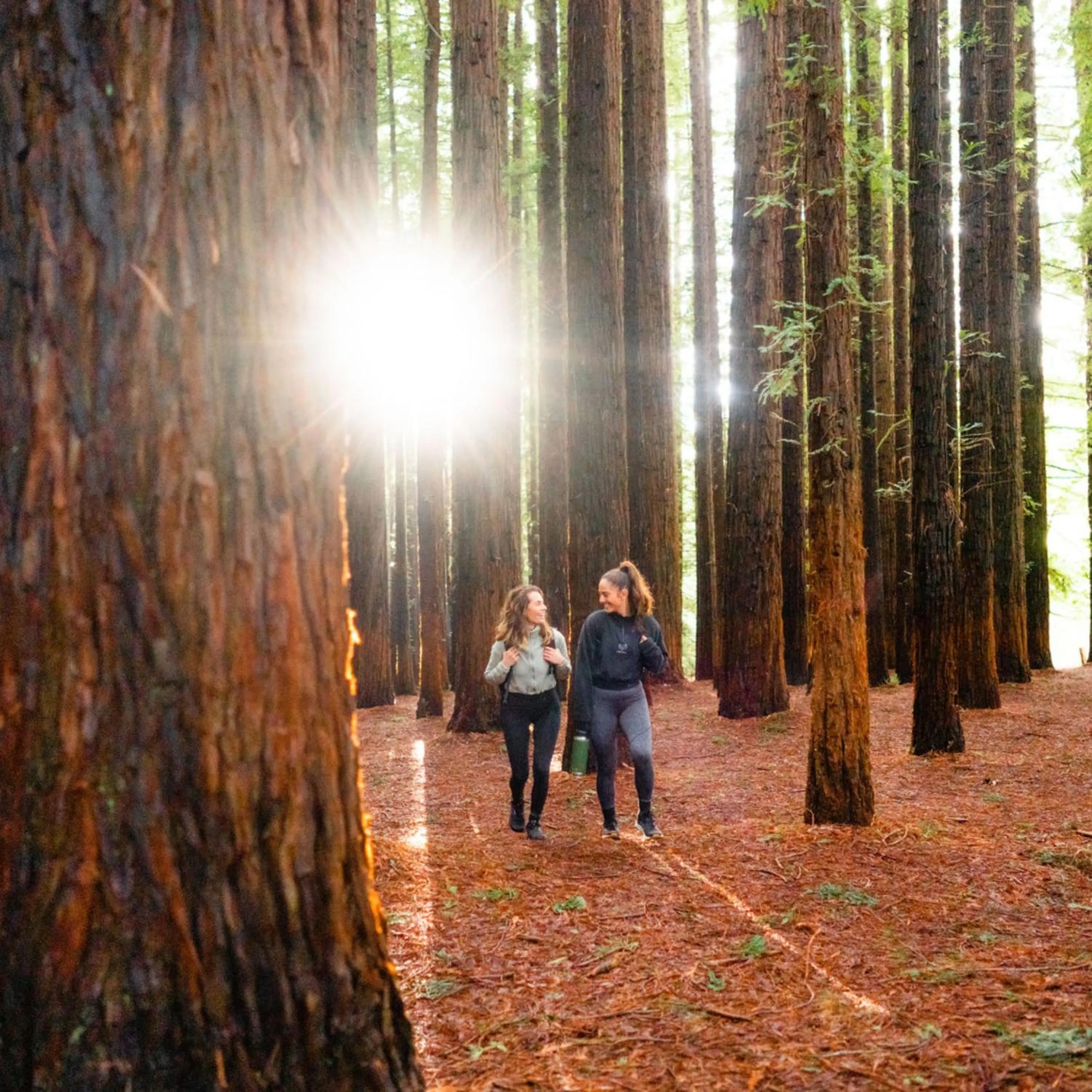 Alpine Hotel, Eat Drink Sleep