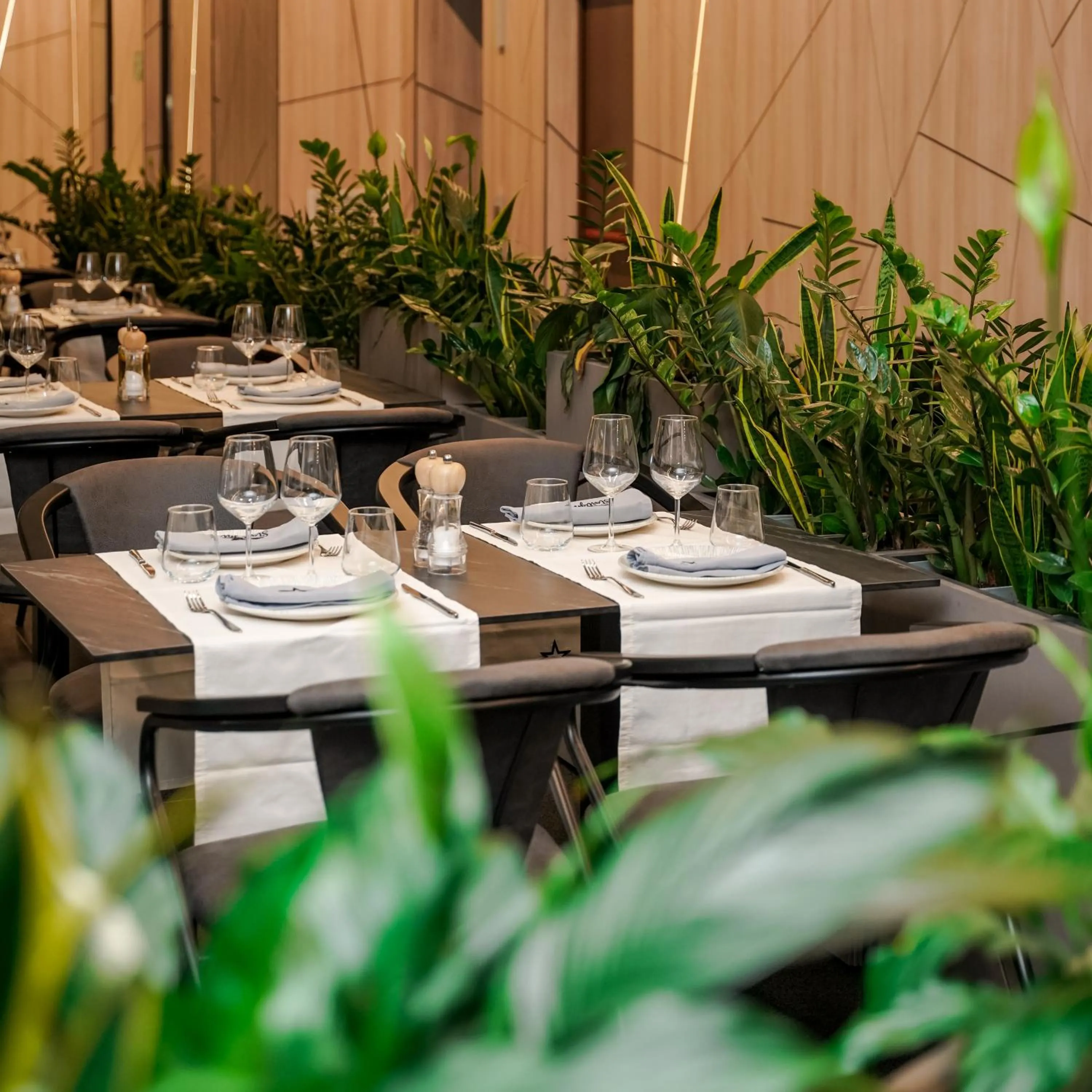 Restaurant/places to eat in StarLight Hotel