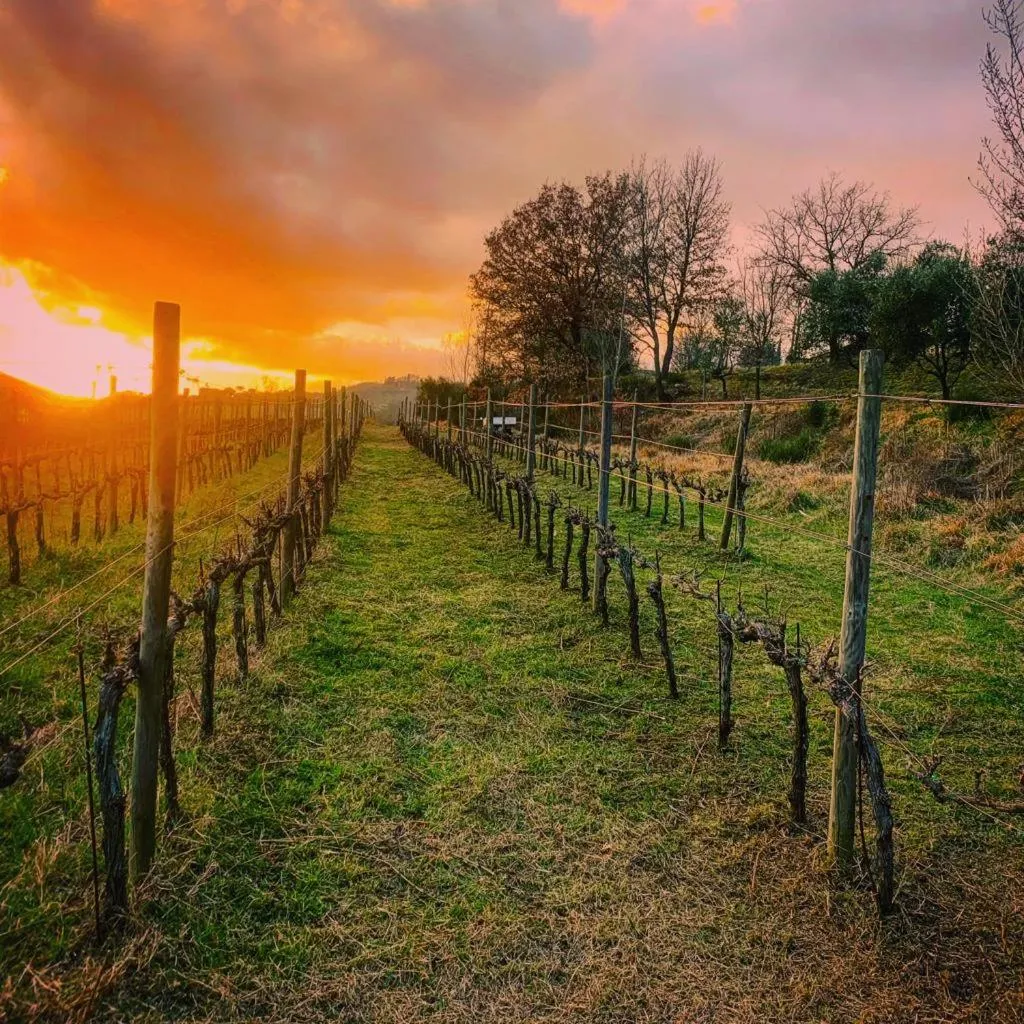 Natural landscape in Casa M Tuscany