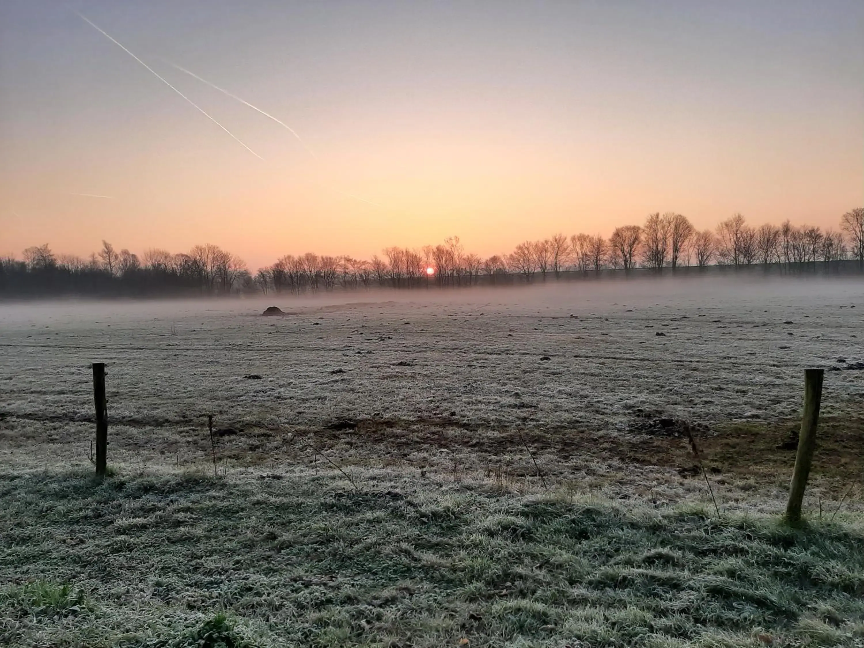 Double Room with Terrace in BIESBOSCHBEST Double Room with Terrace in BIESBOSCHBEST