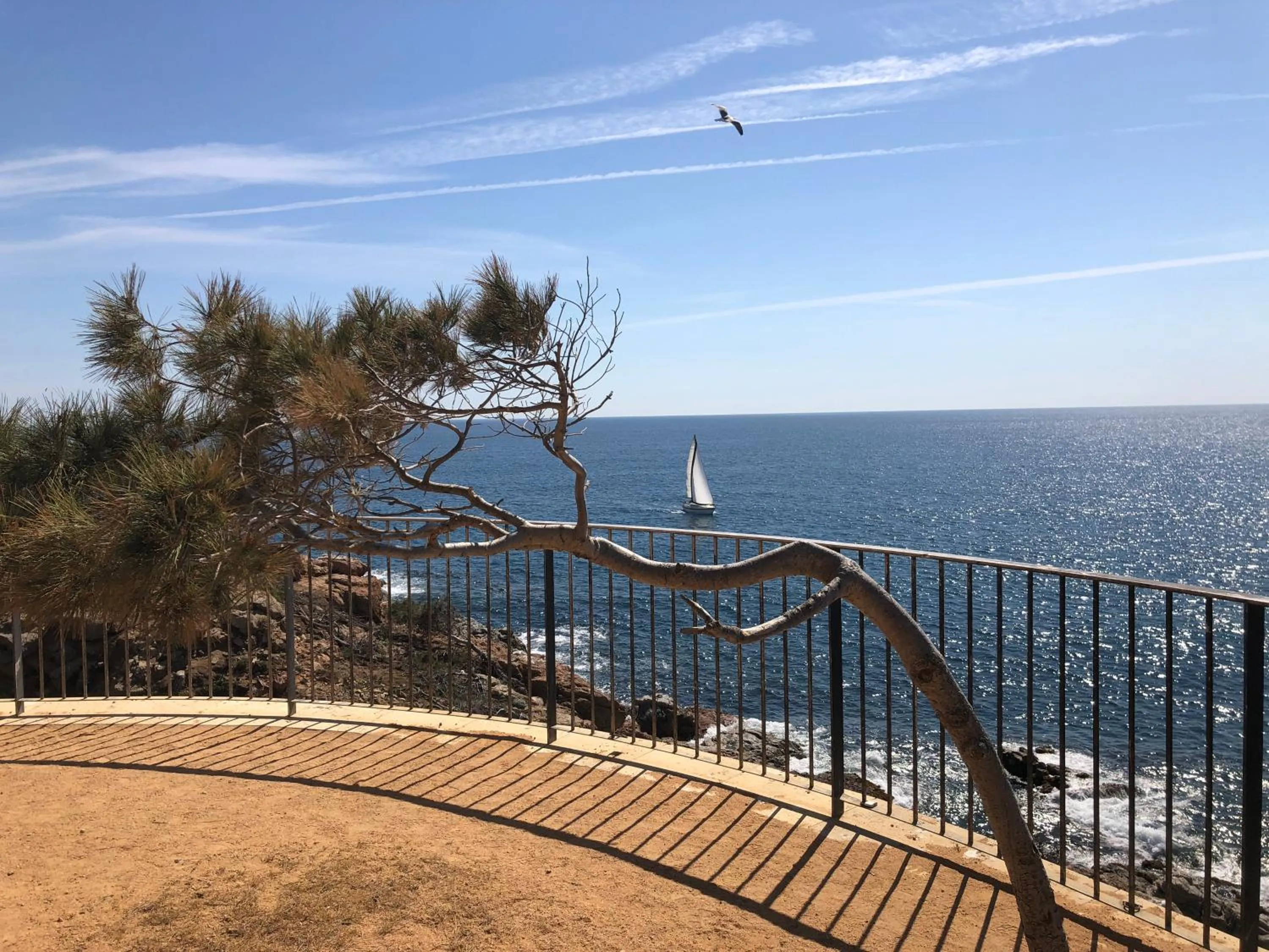 Nearby landmark in Mar i Llum