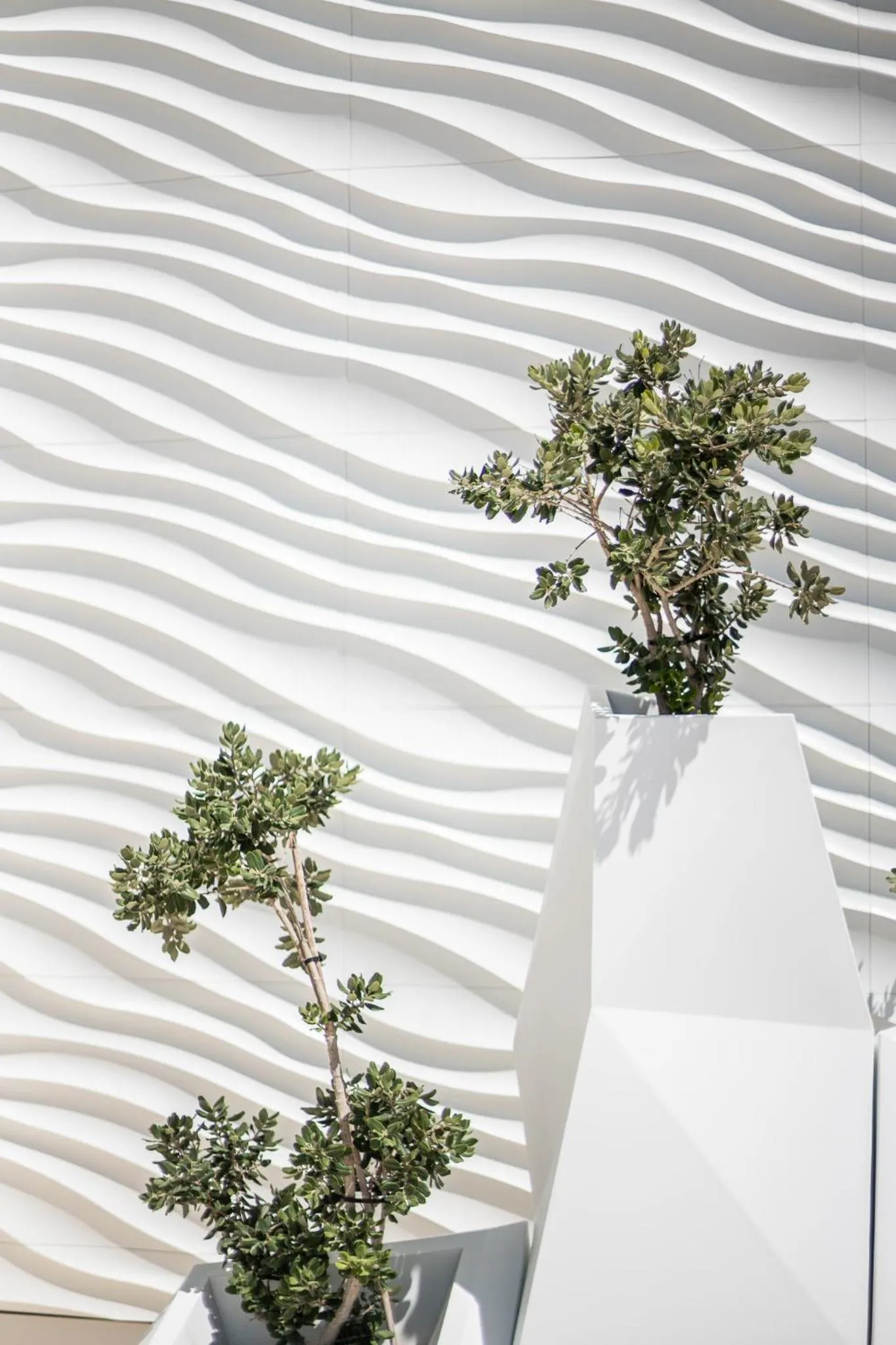 Day in Hotel Caserio