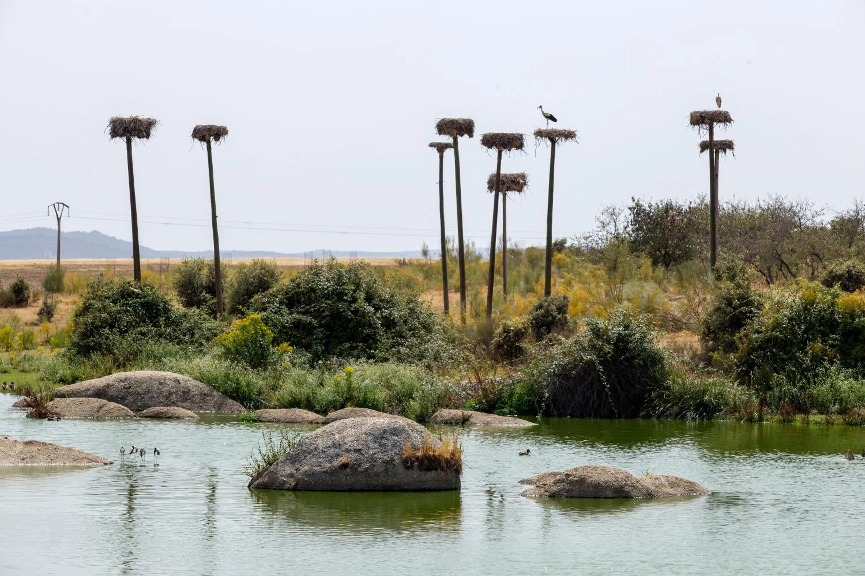 Activities in Hotel Parque de Monfragüe