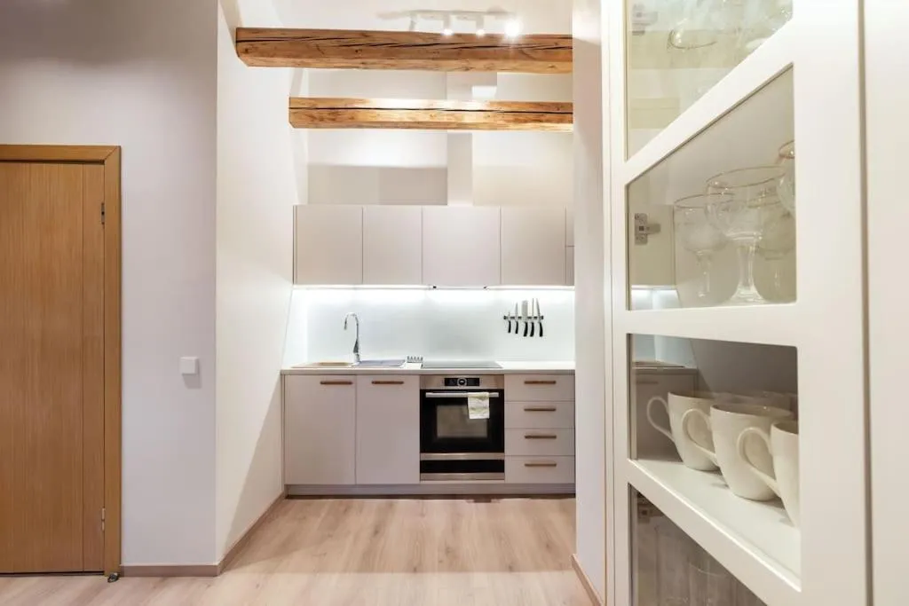 Kitchen or kitchenette in Luxury apartment in Gedimino av.