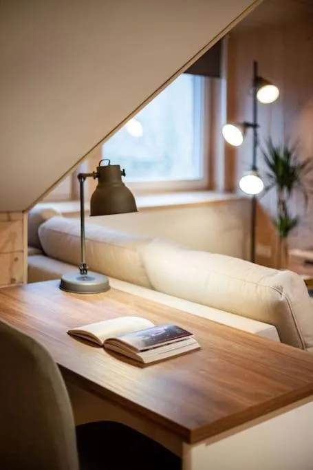 Living room in Luxury apartment in Gedimino av.