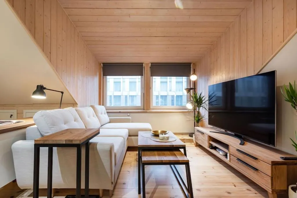 TV and multimedia in Luxury apartment in Gedimino av.
