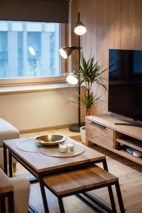 TV and multimedia in Luxury apartment in Gedimino av.
