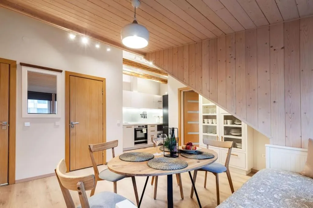 Kitchen or kitchenette in Luxury apartment in Gedimino av.