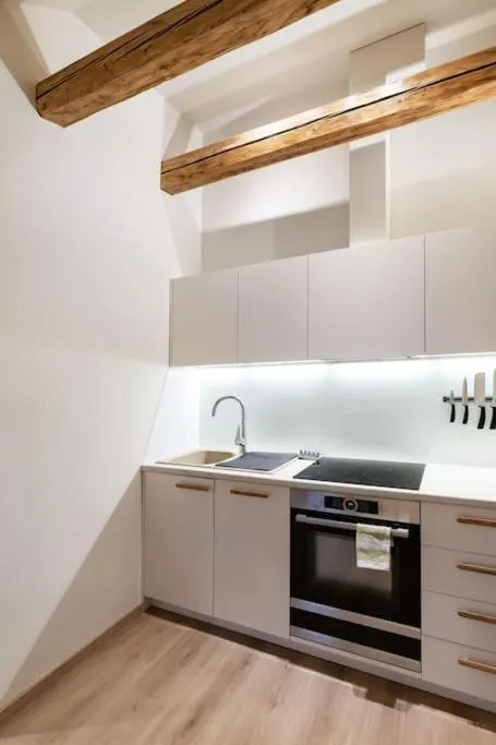 Kitchen or kitchenette in Luxury apartment in Gedimino av.