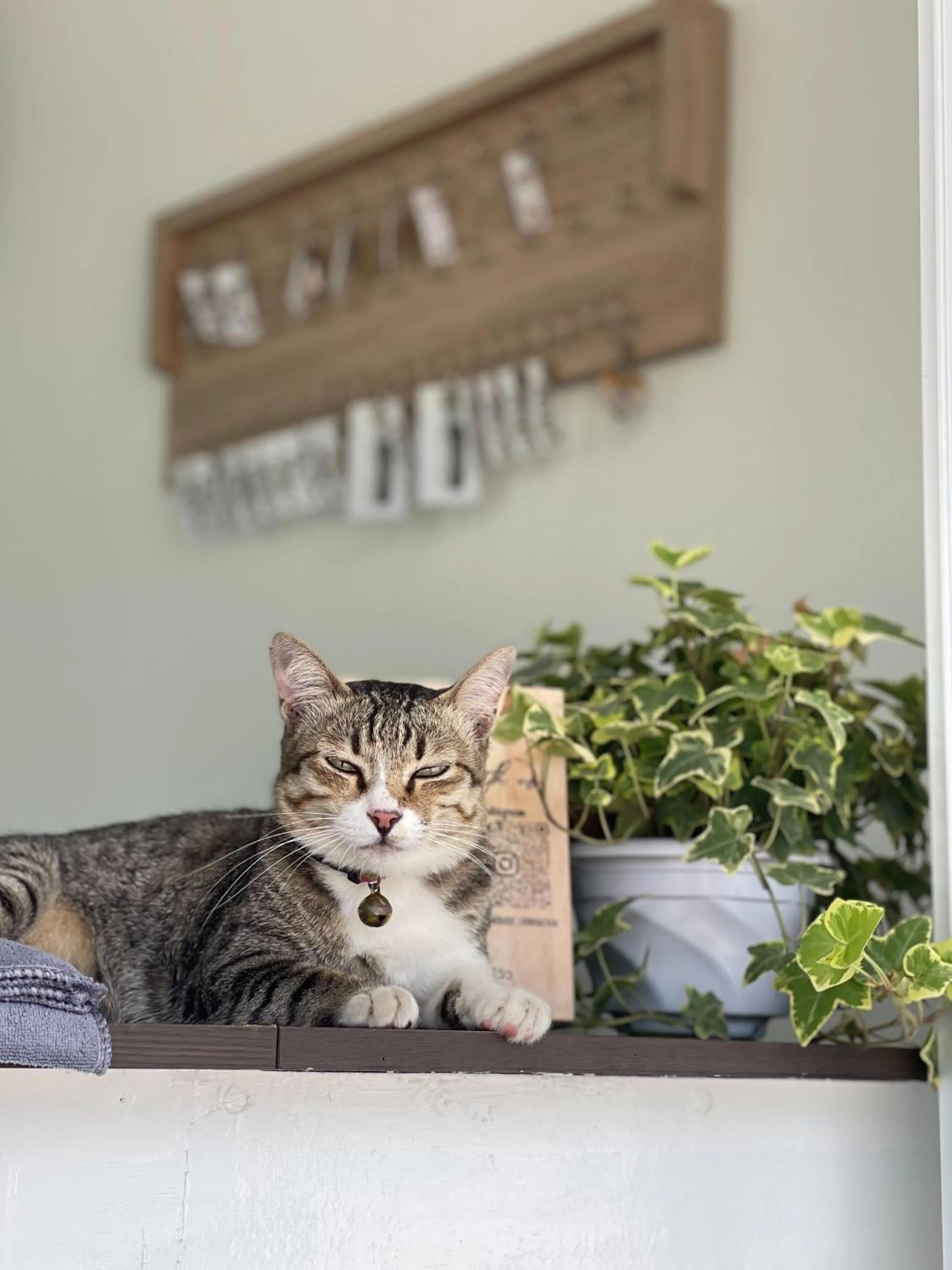 Lobby or reception in Ivory House Sriracha