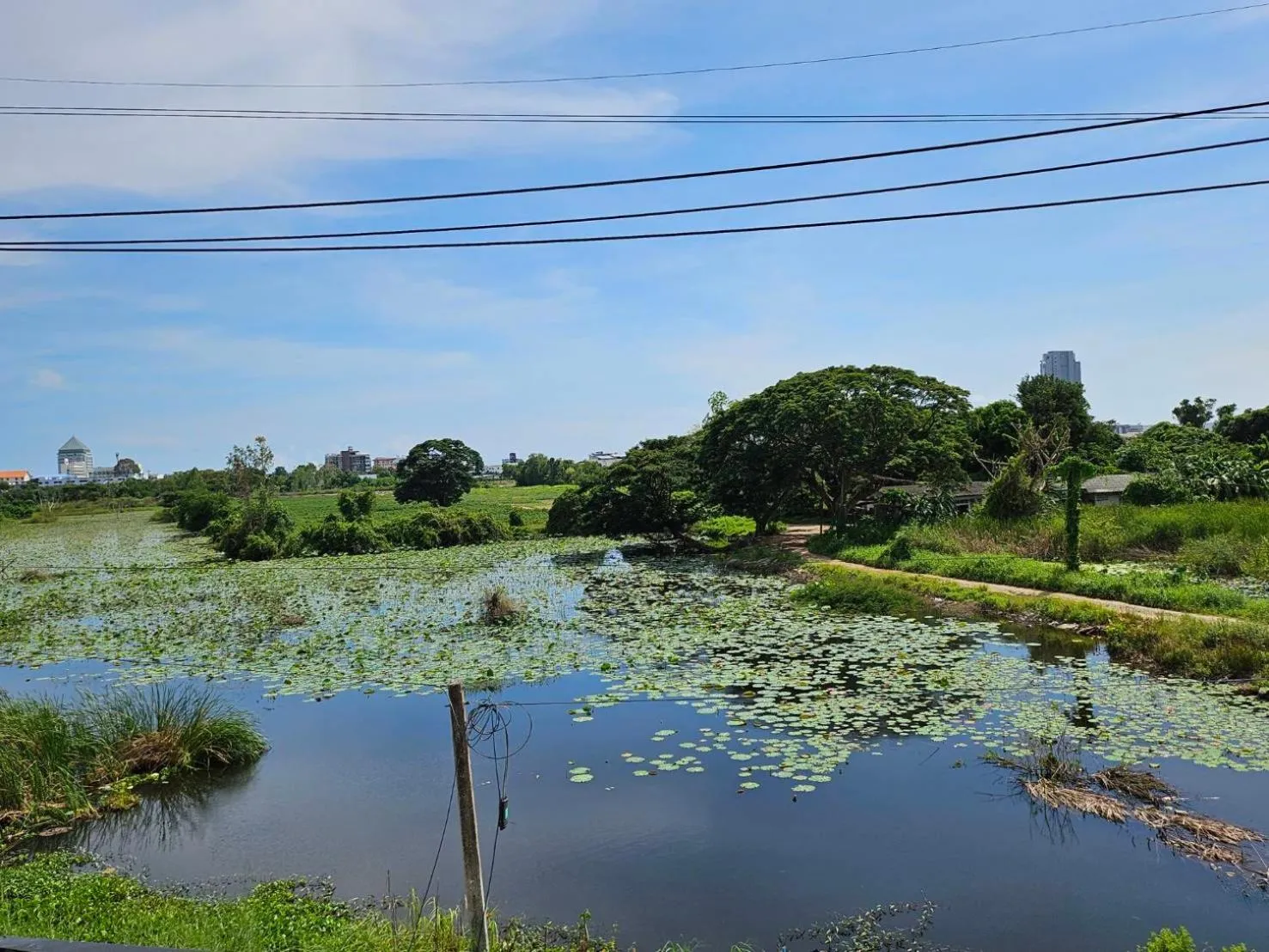 View (from property/room) in CottagePine Rayong Resort&Cafe