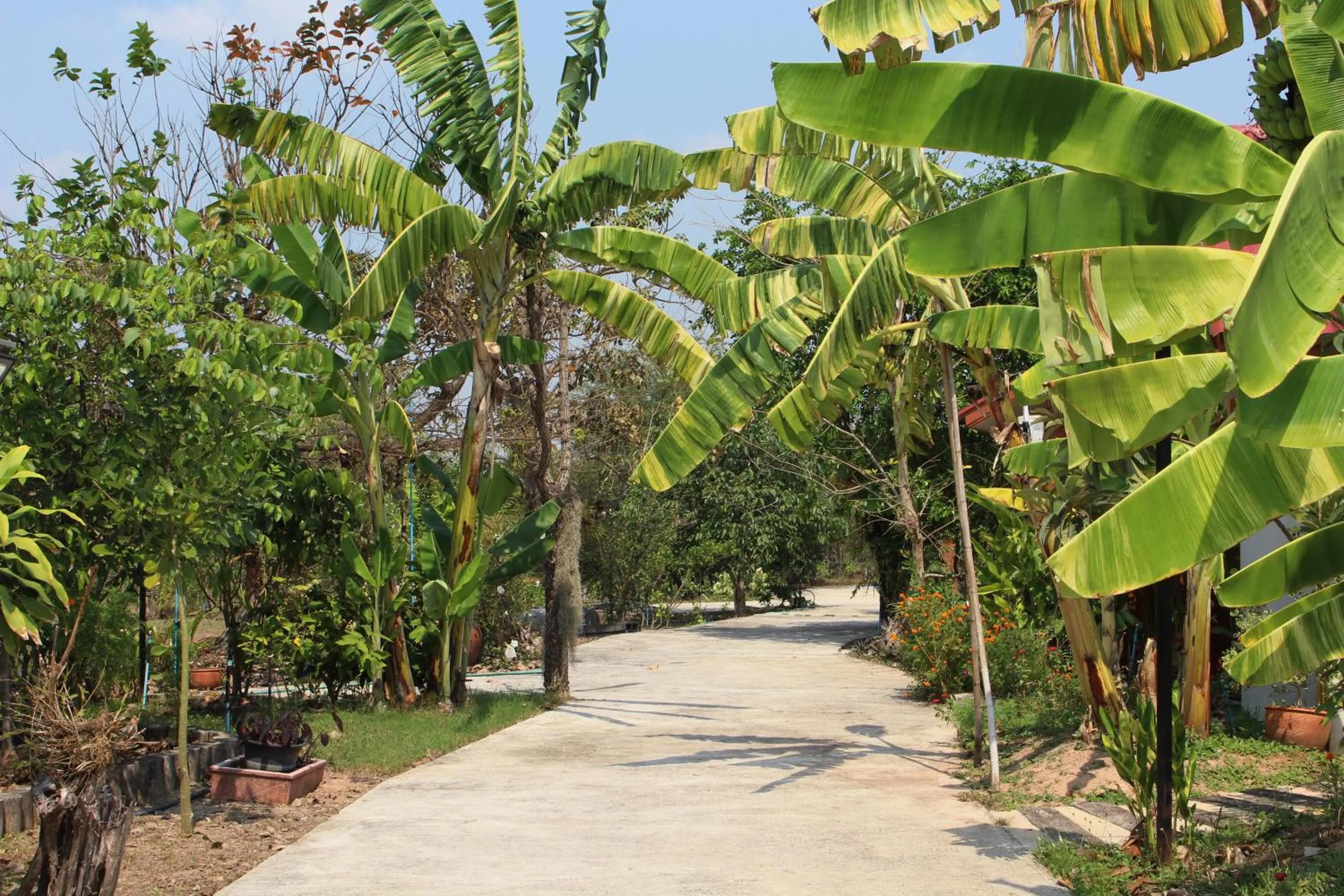 Facade/entrance in Baan Suan Mulberry Farmstay