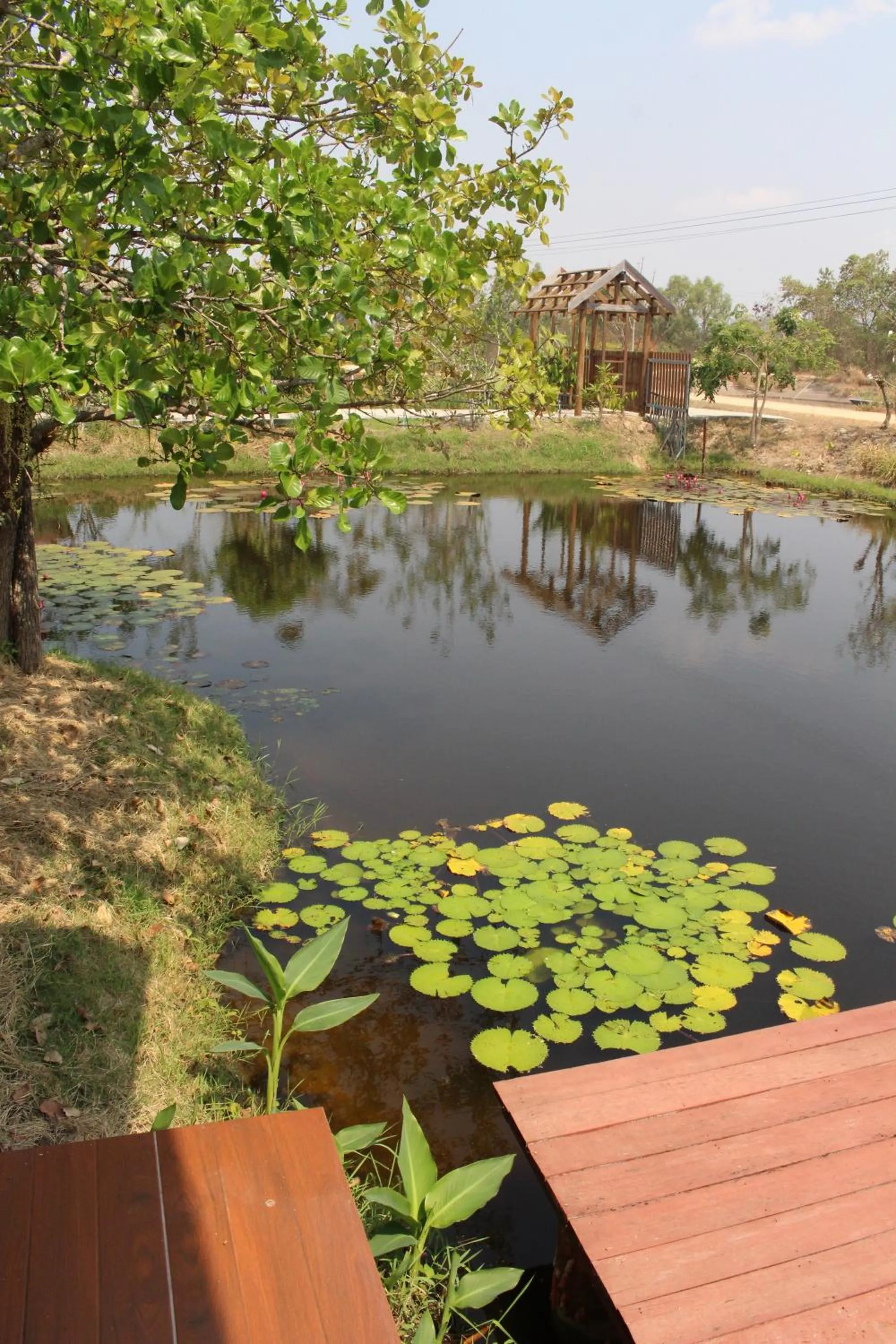 Bedroom in Baan Suan Mulberry Farmstay