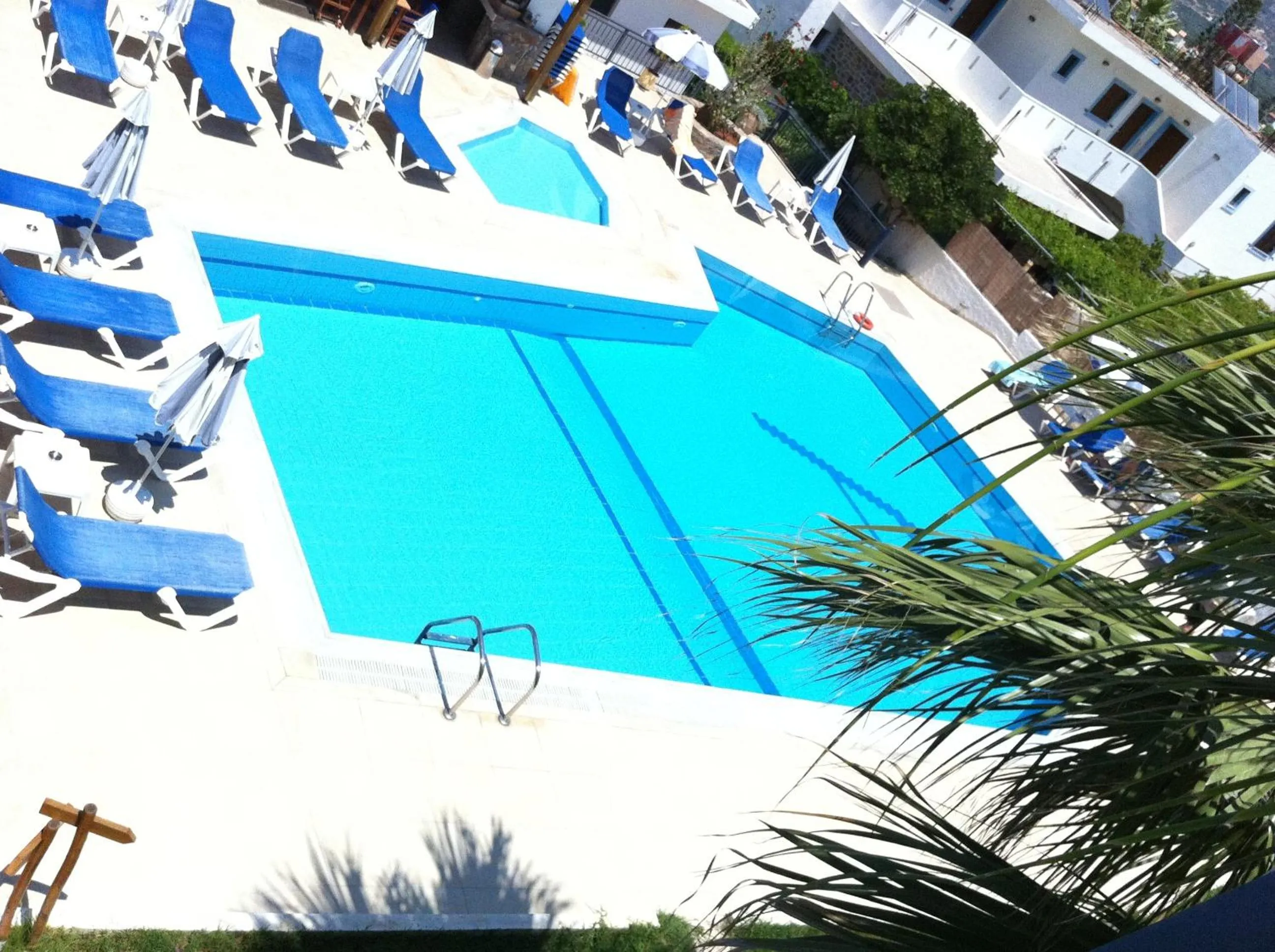 Swimming pool in Angelika Apartotel