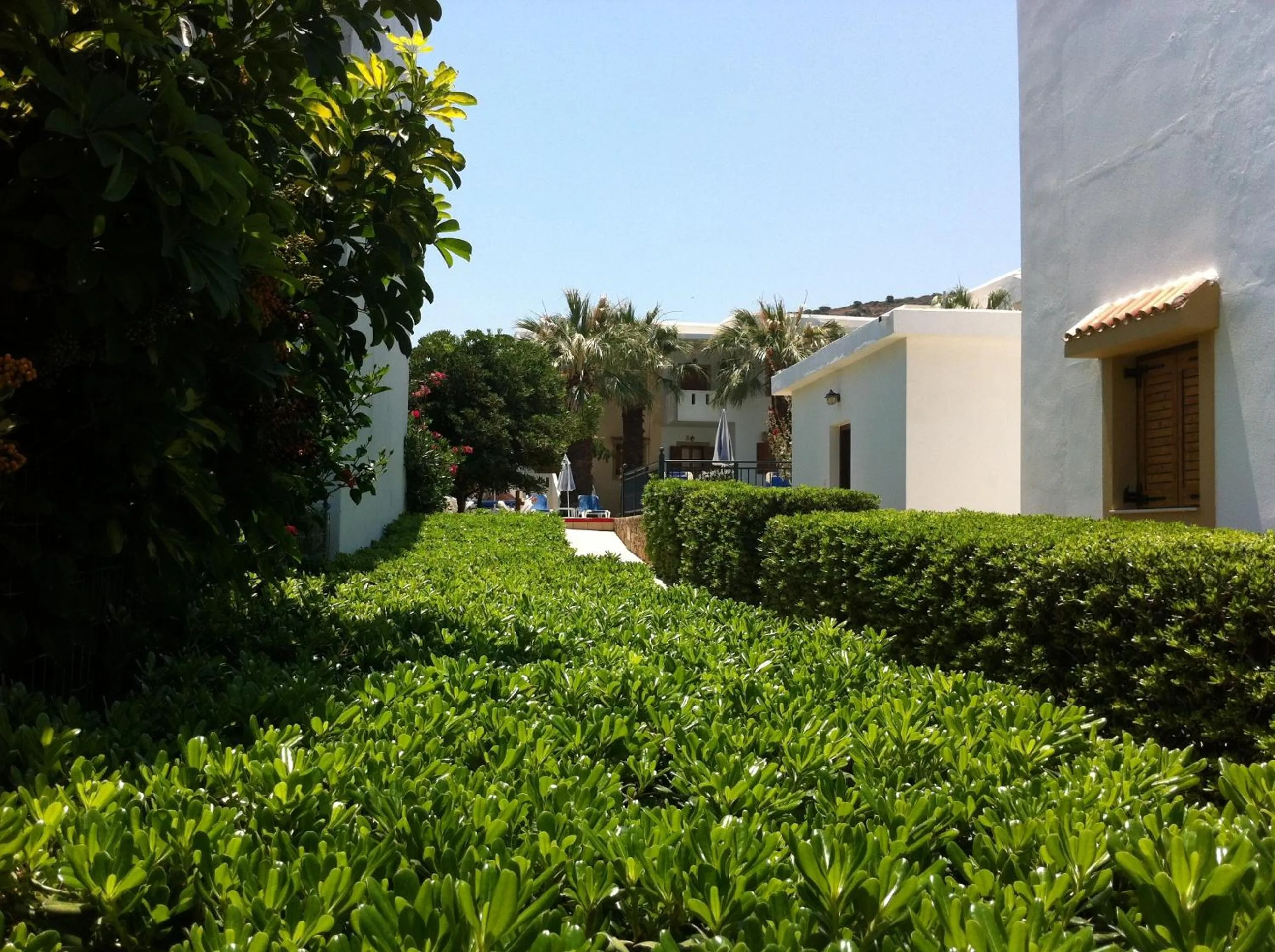 Garden in Angelika Apartotel