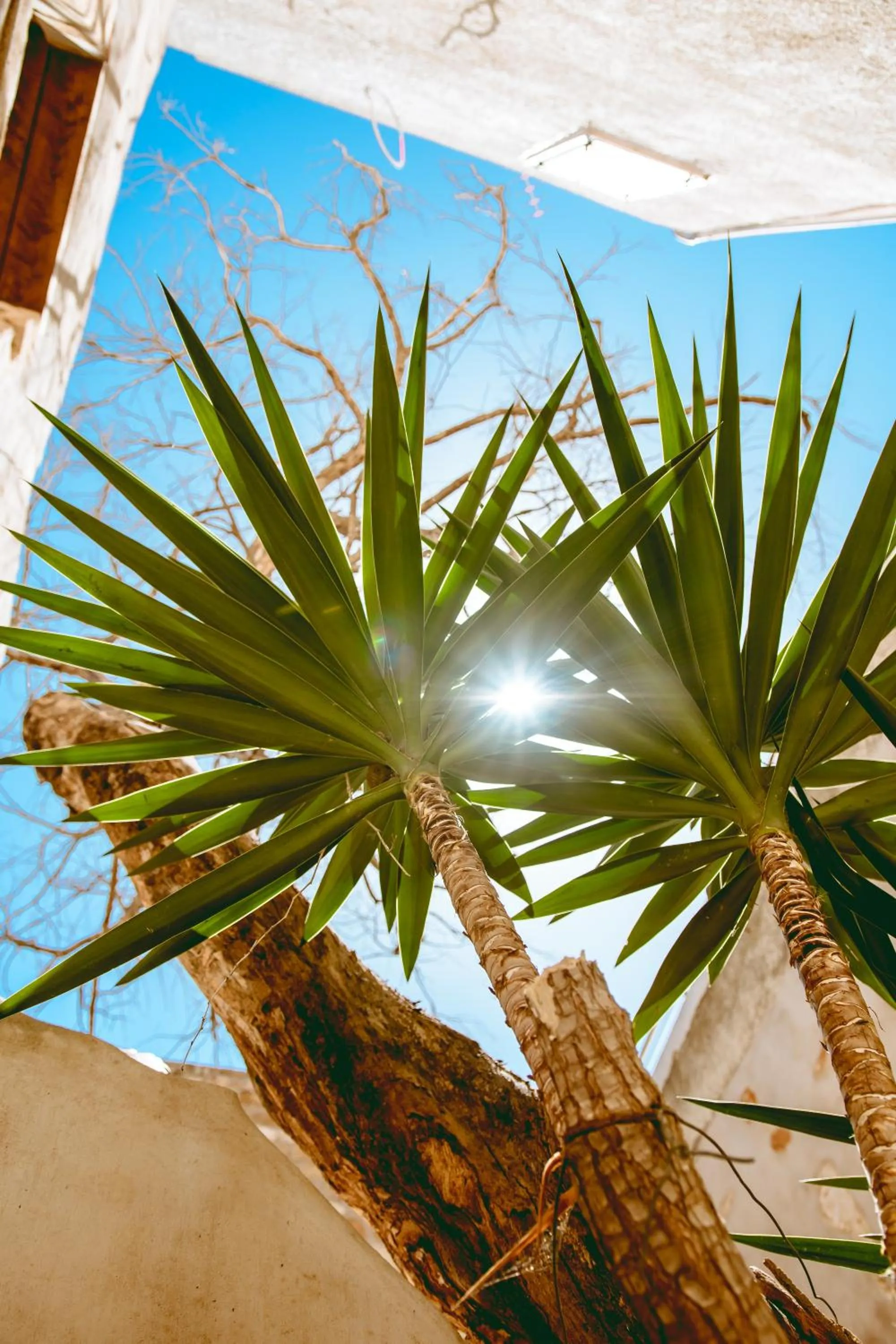 Patio in Bozzali Deluxe Hotel