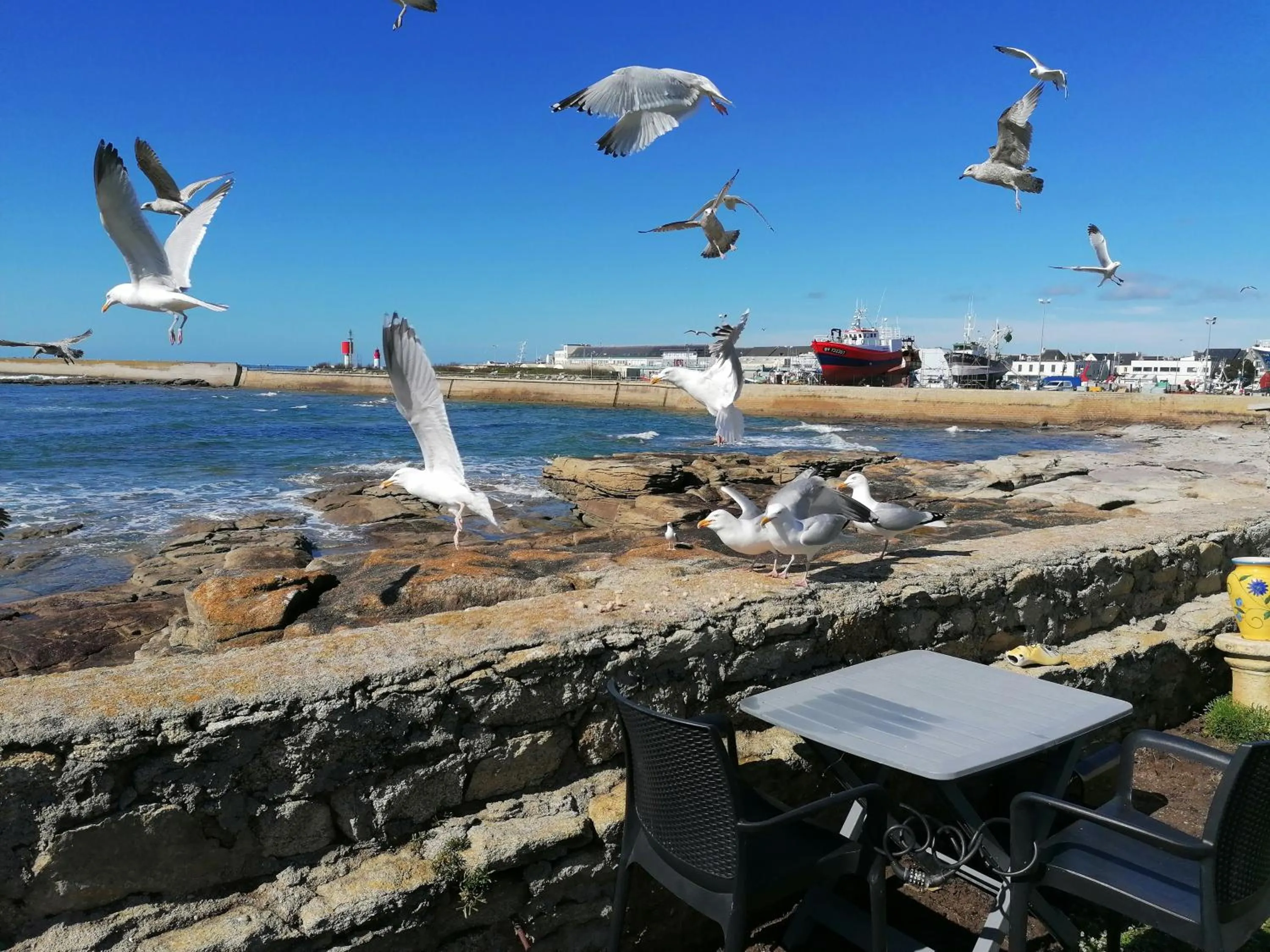 Balcony/Terrace in La Rose des Sables
