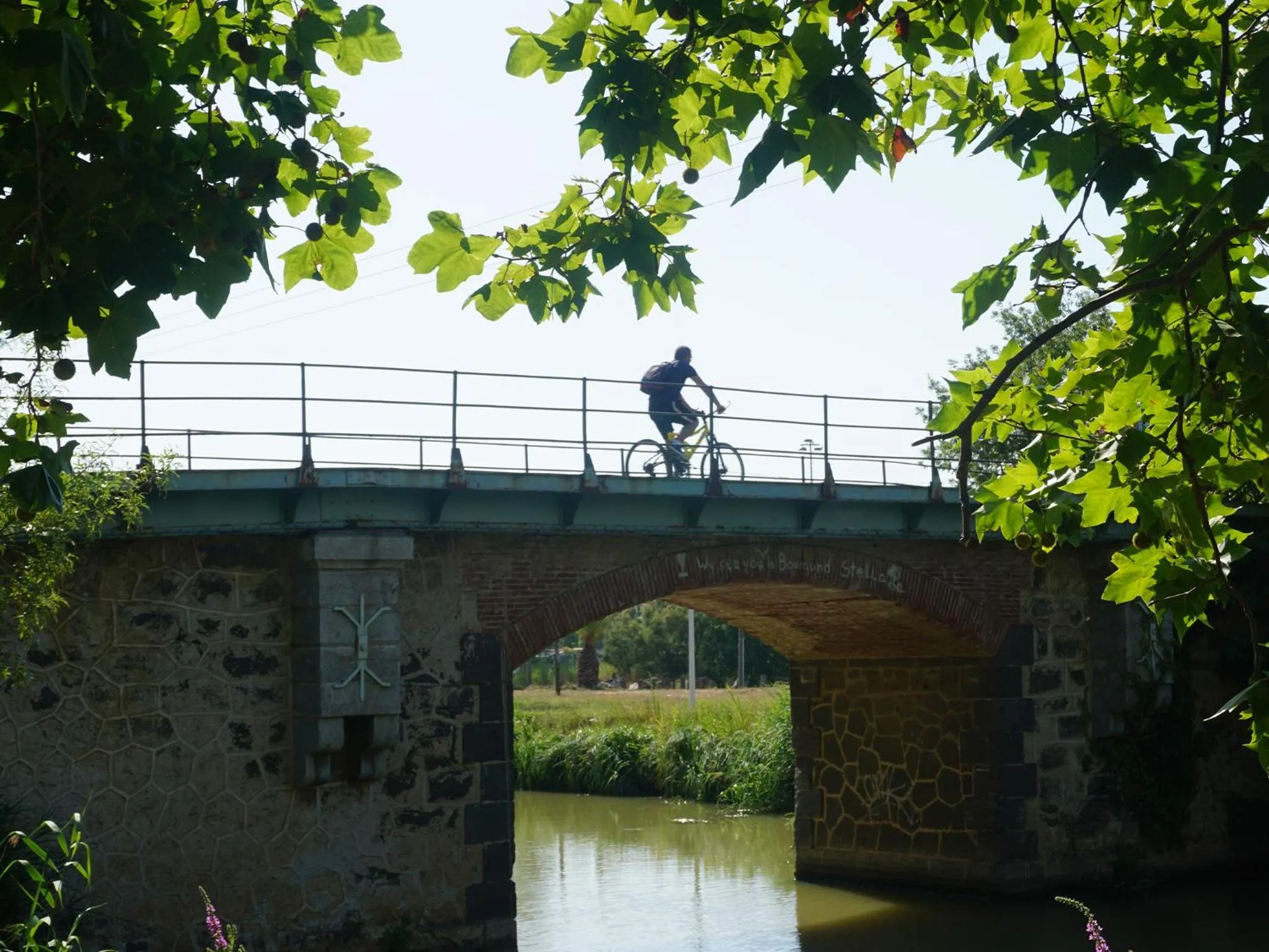 Activities in Mas Julia