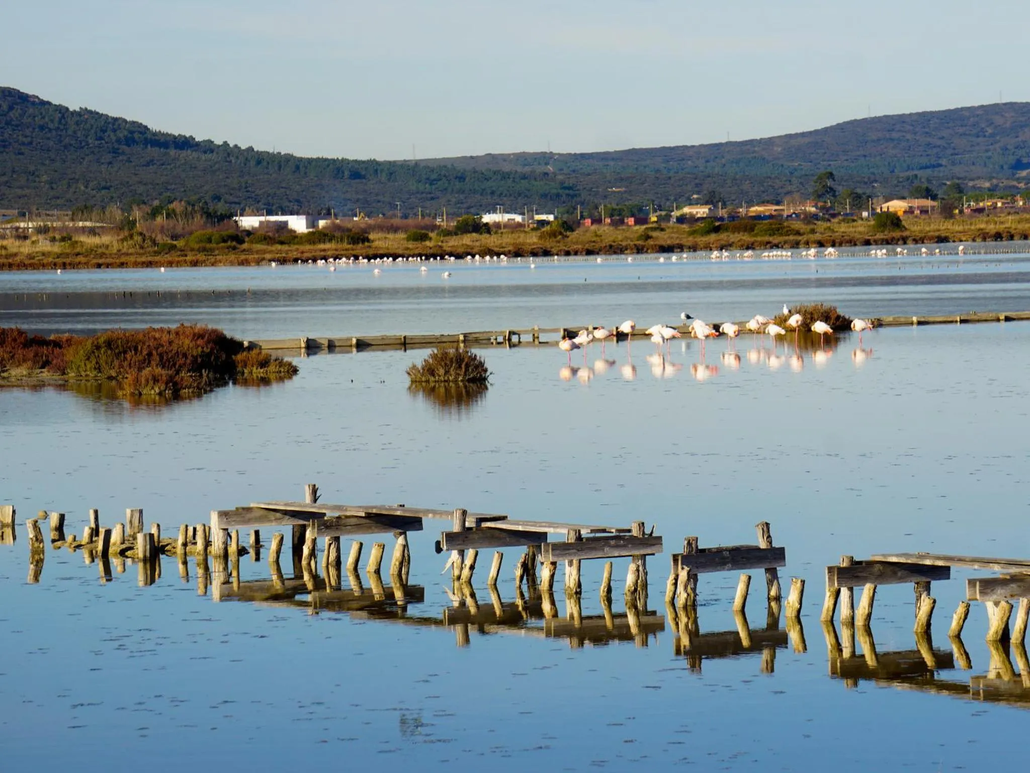 Neighbourhood in Mas Julia