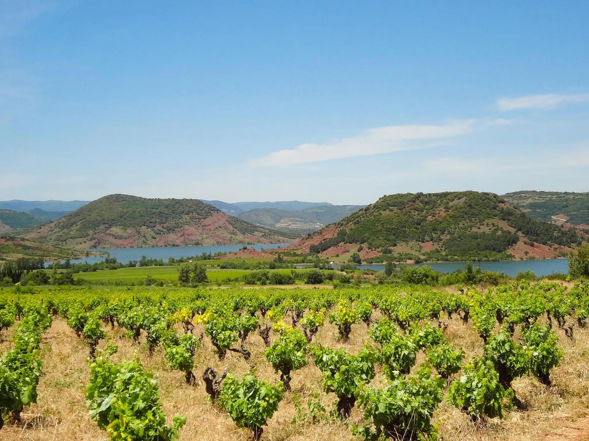 Neighbourhood in Mas Julia