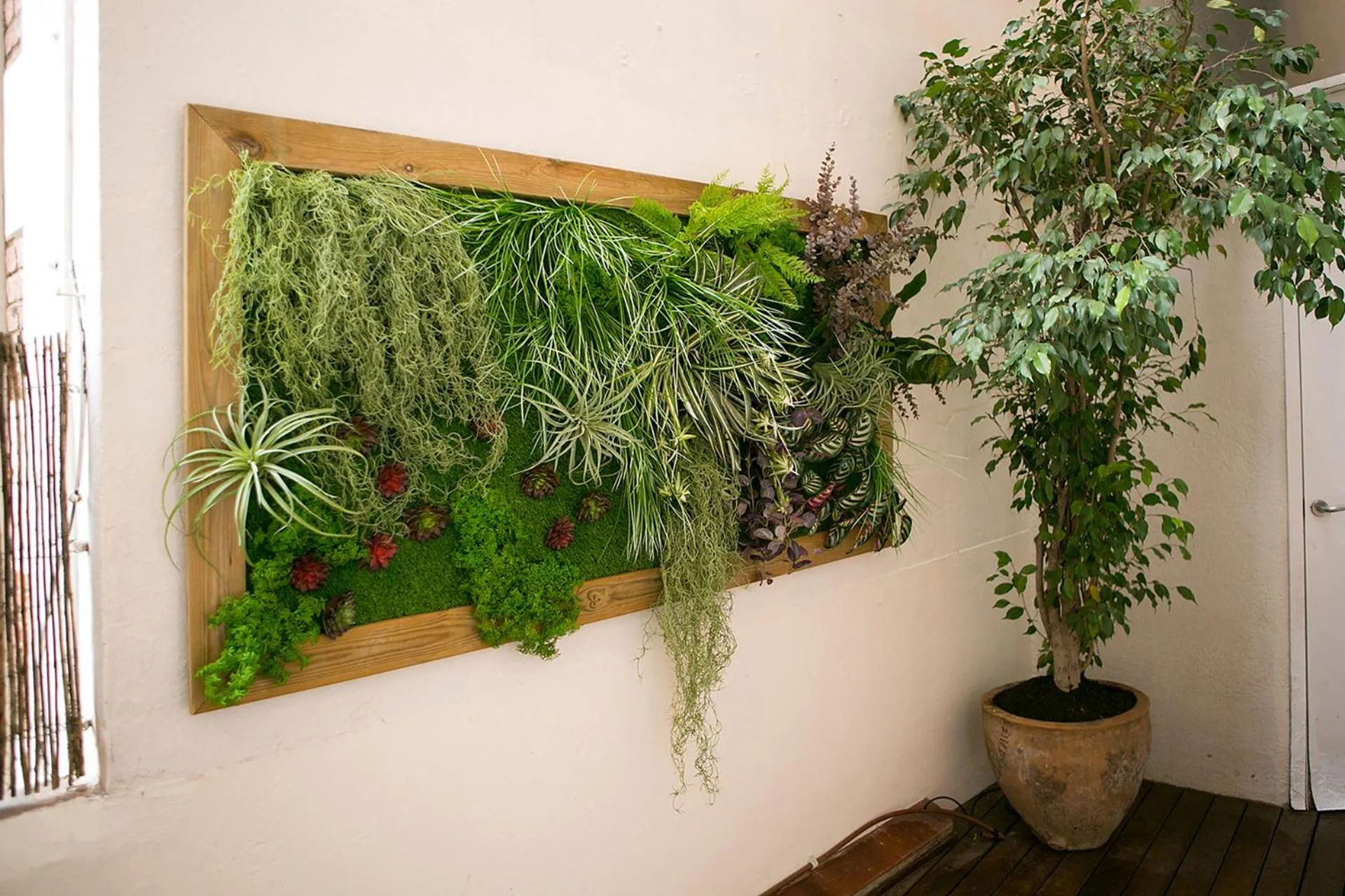 Garden in Blanc Guest House