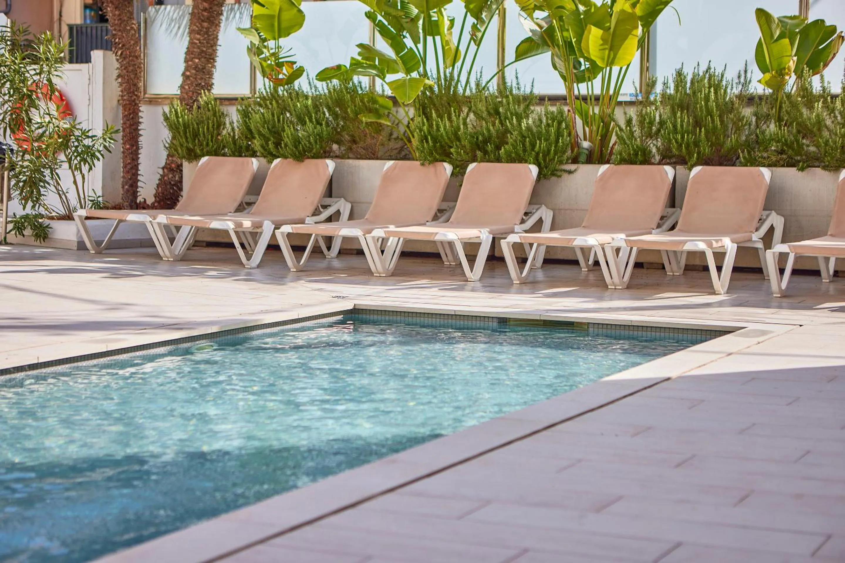 Swimming pool in Hotel Ilusion Calma & Spa