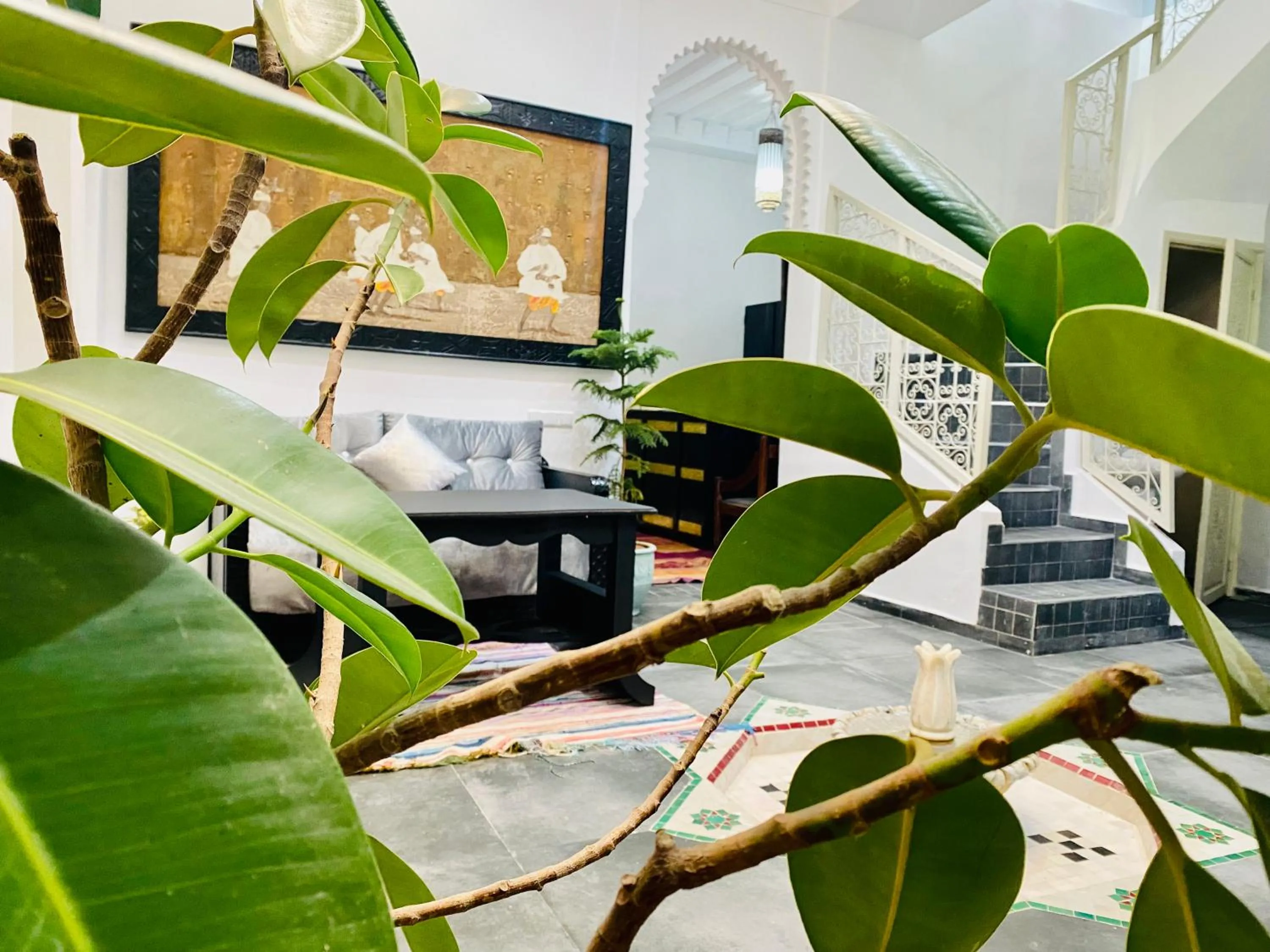 Garden in DAR Riad Jomana