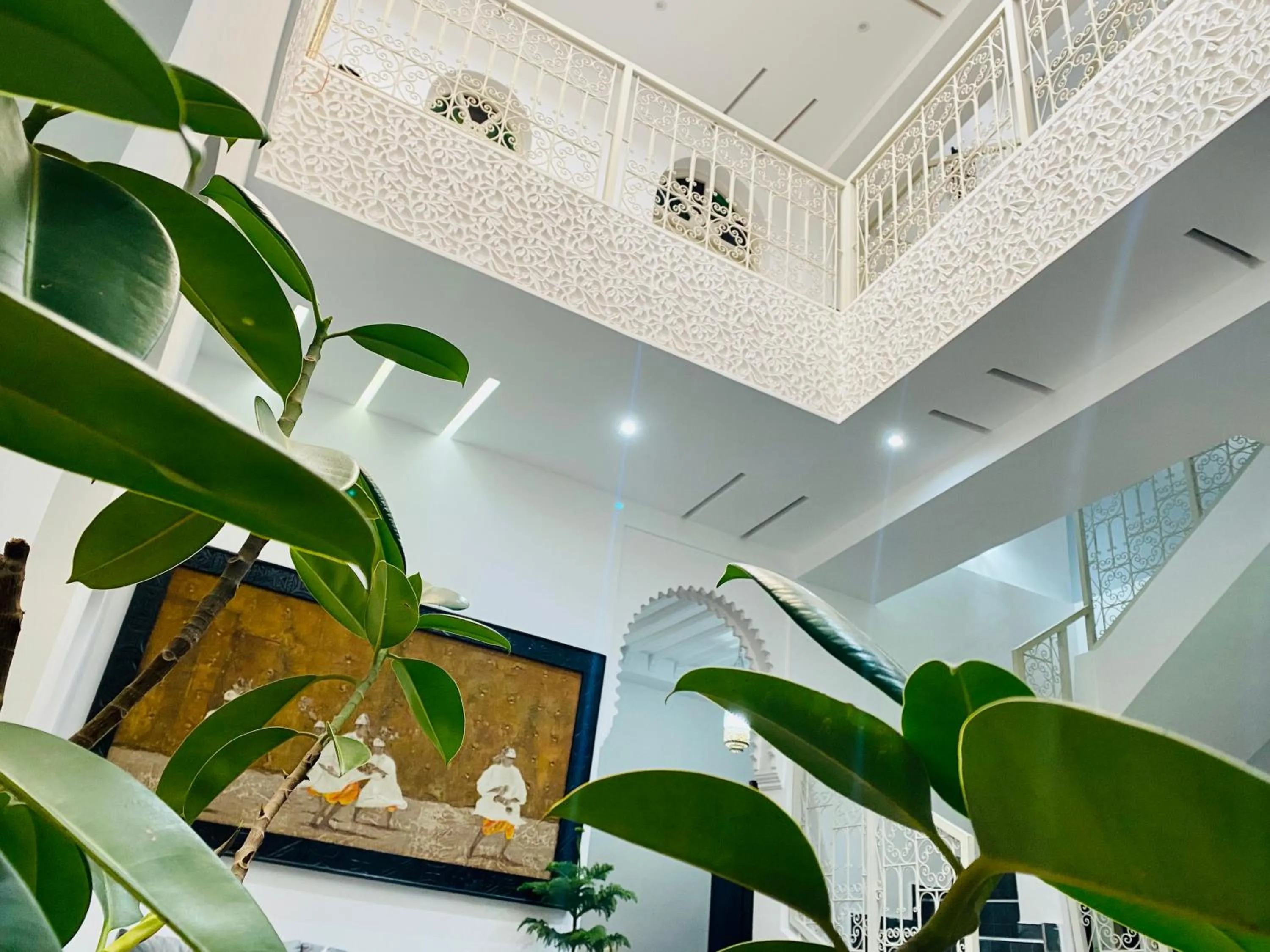 Garden in DAR Riad Jomana