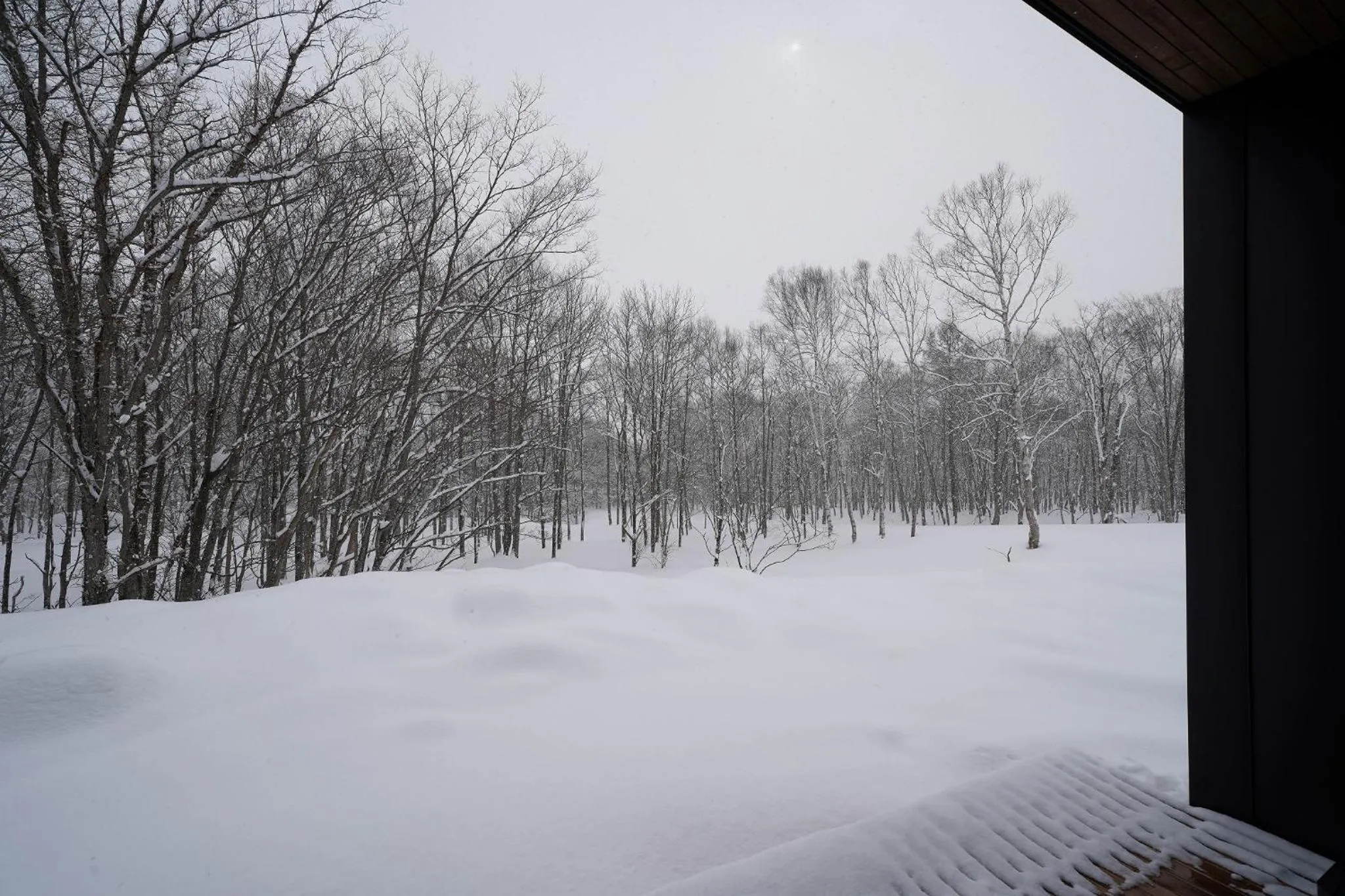 Winter in Japavista Rusutsu