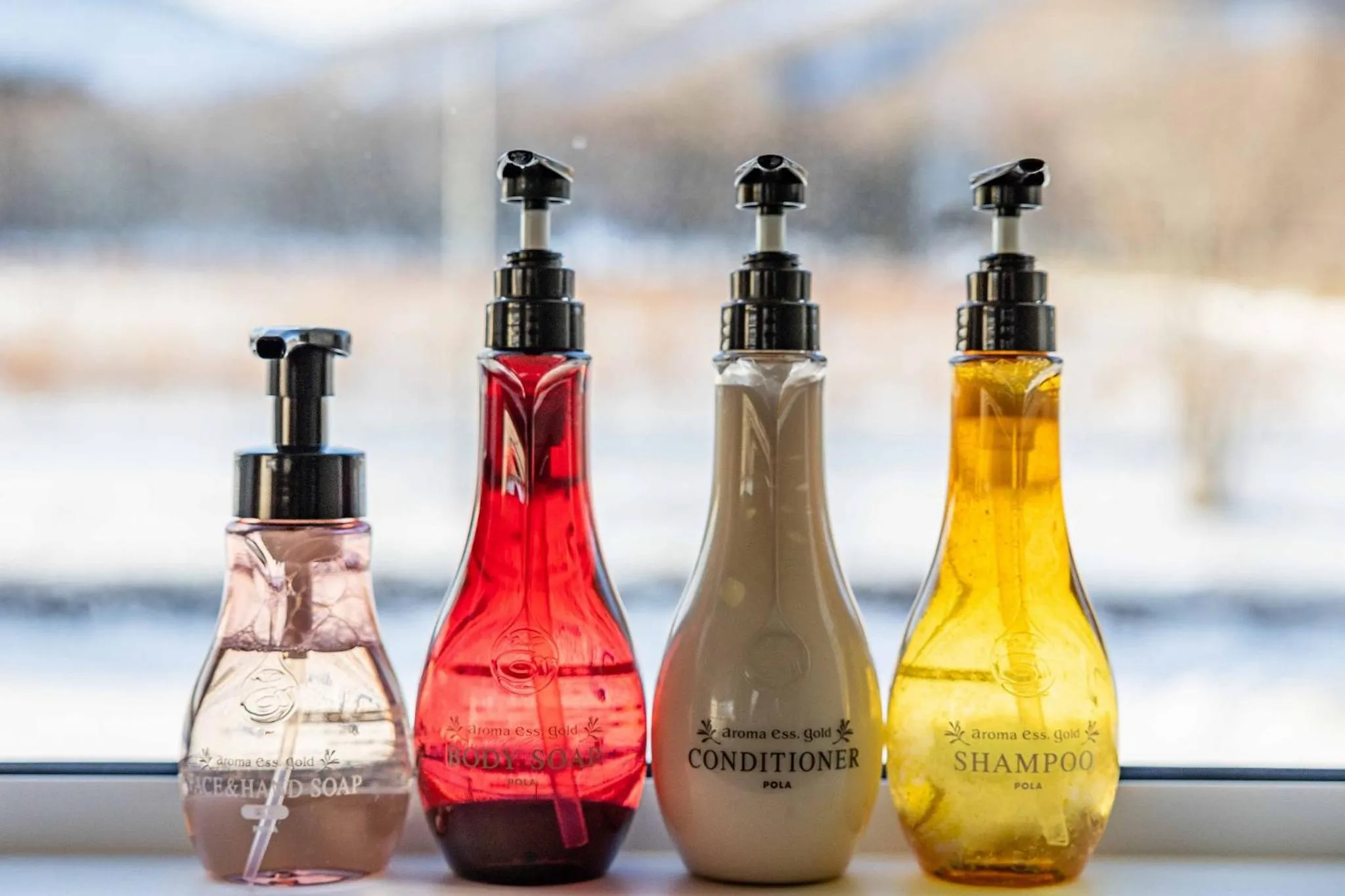 Photo of the whole room in Japavista Rusutsu