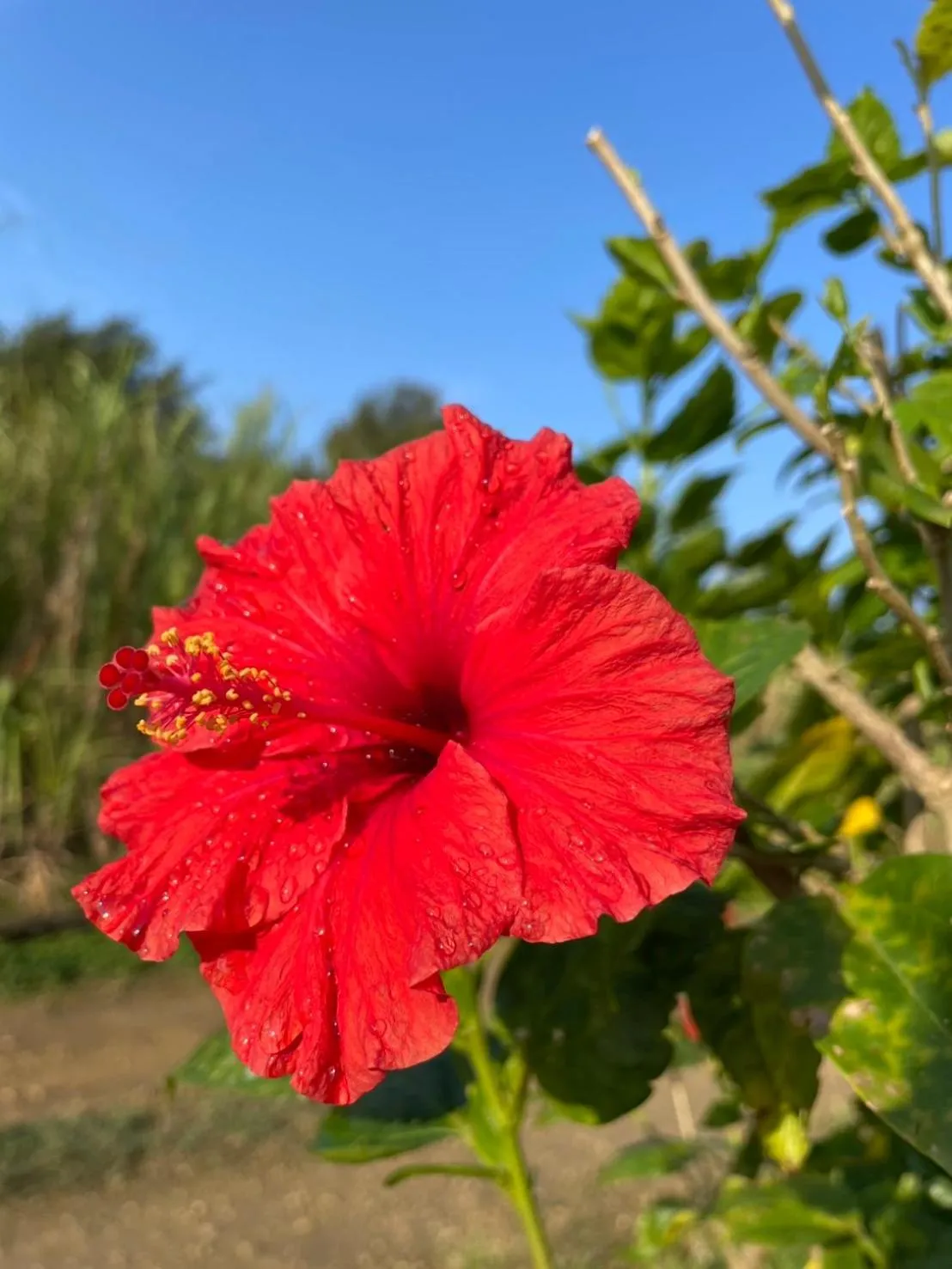 Day in private house noko