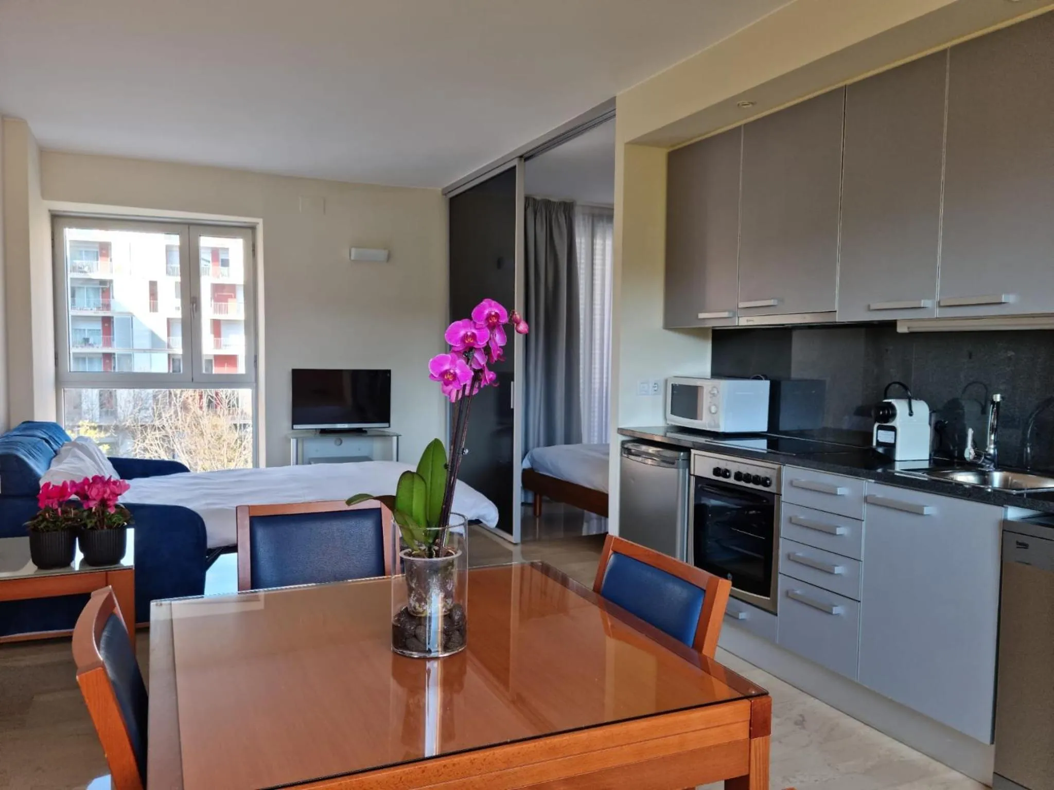 TV and multimedia in Apartaments Els Quimics