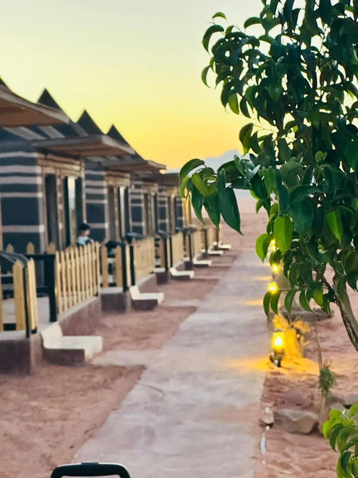 Day in Shaheen Camp Wadi rum