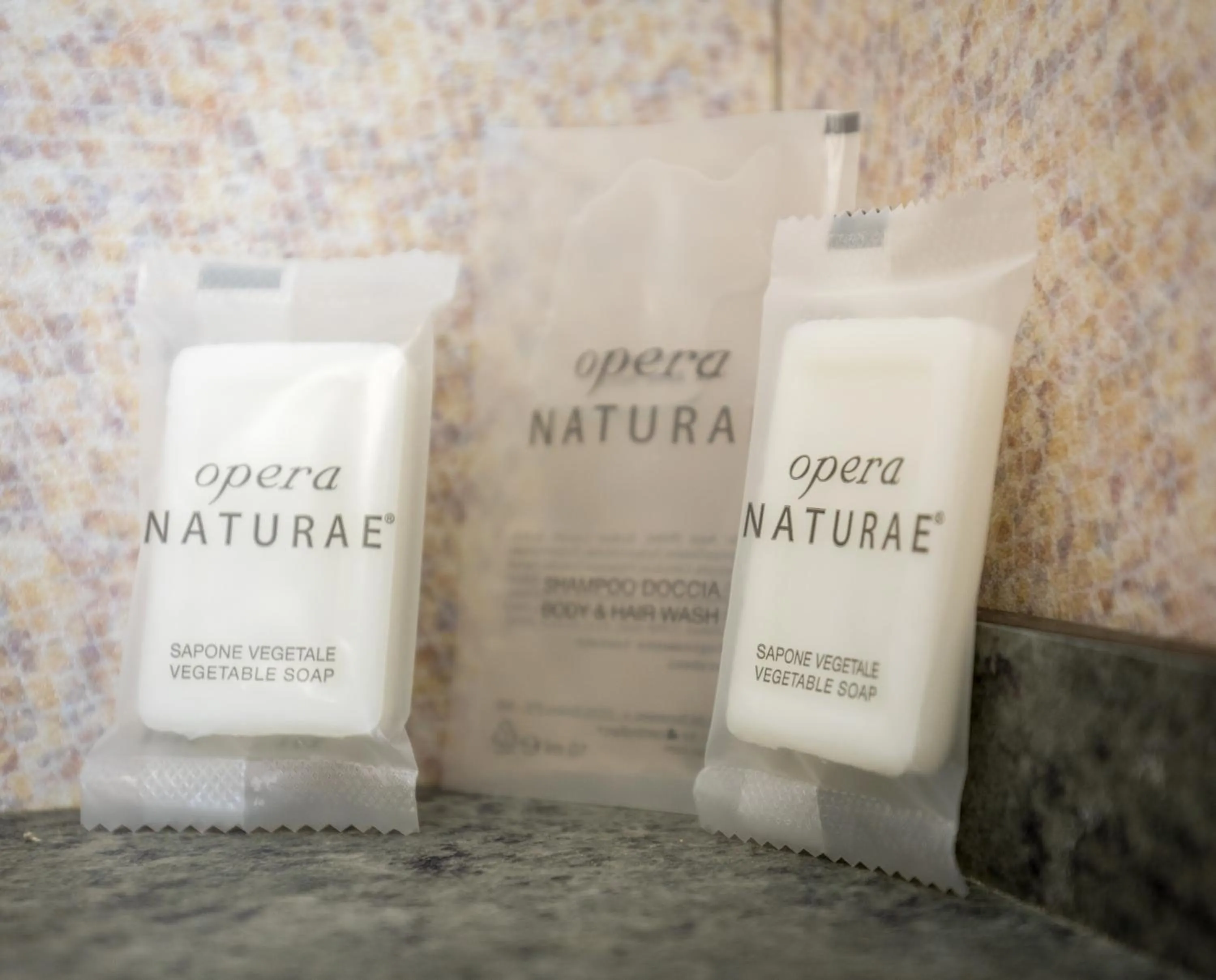 Single Room in Hotel & Hostel 7