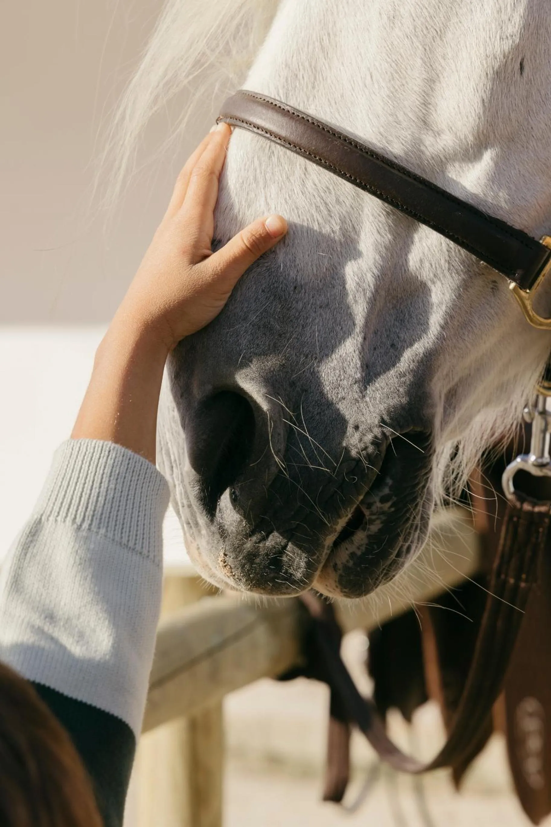 Horse-riding in Finca La Bobadilla - The Leading Hotels of the World
