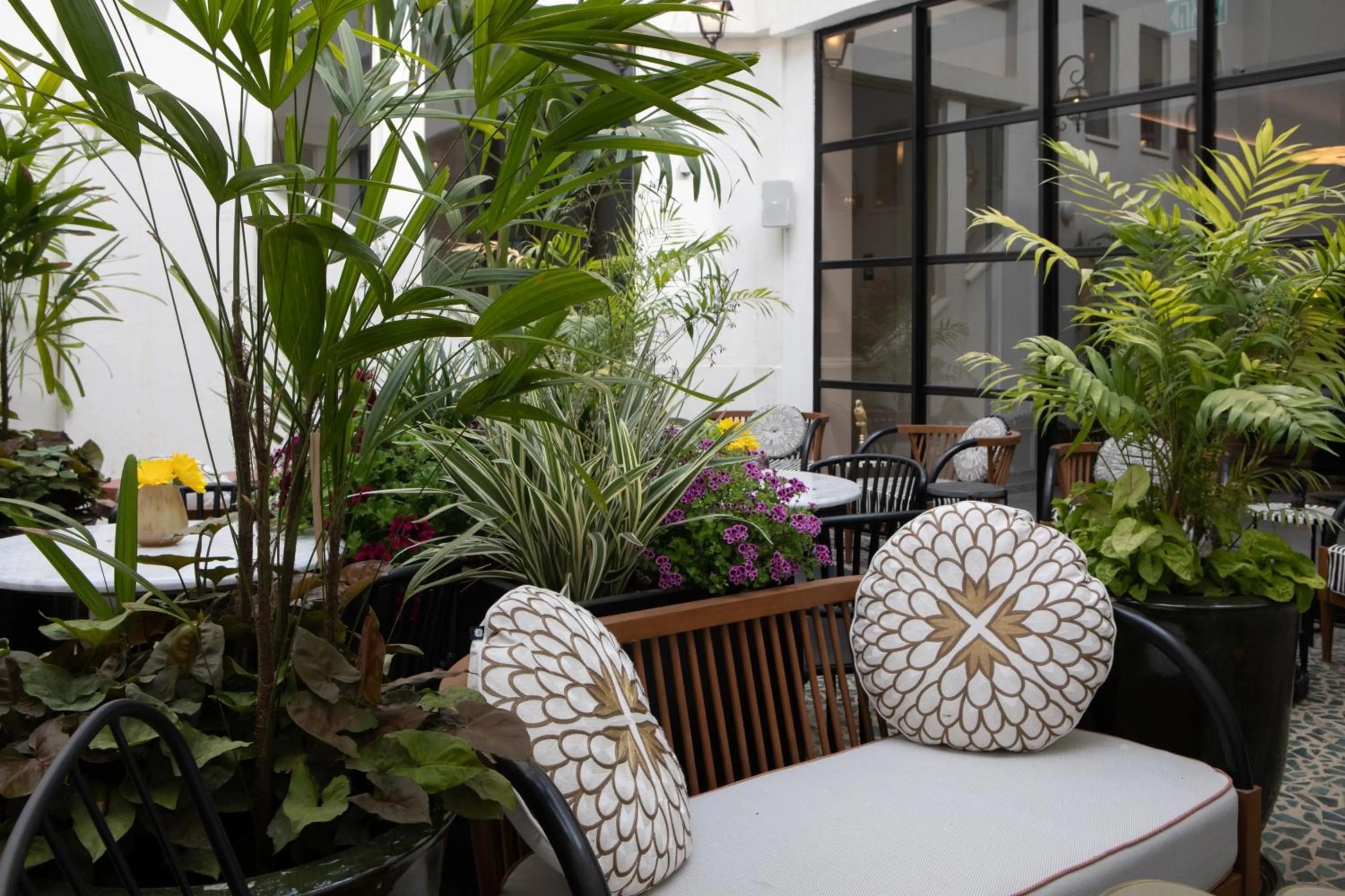 Garden in Rephael House Boutique Hotel